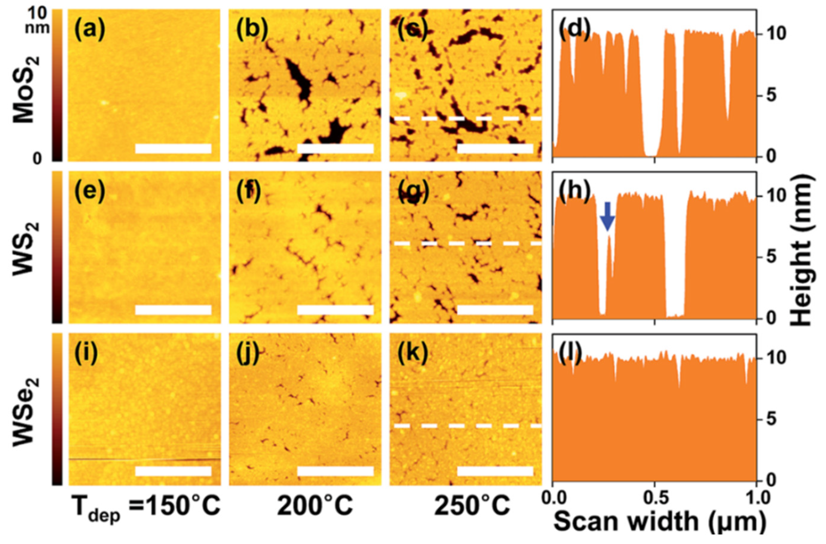 Applsci 11 11052 g002