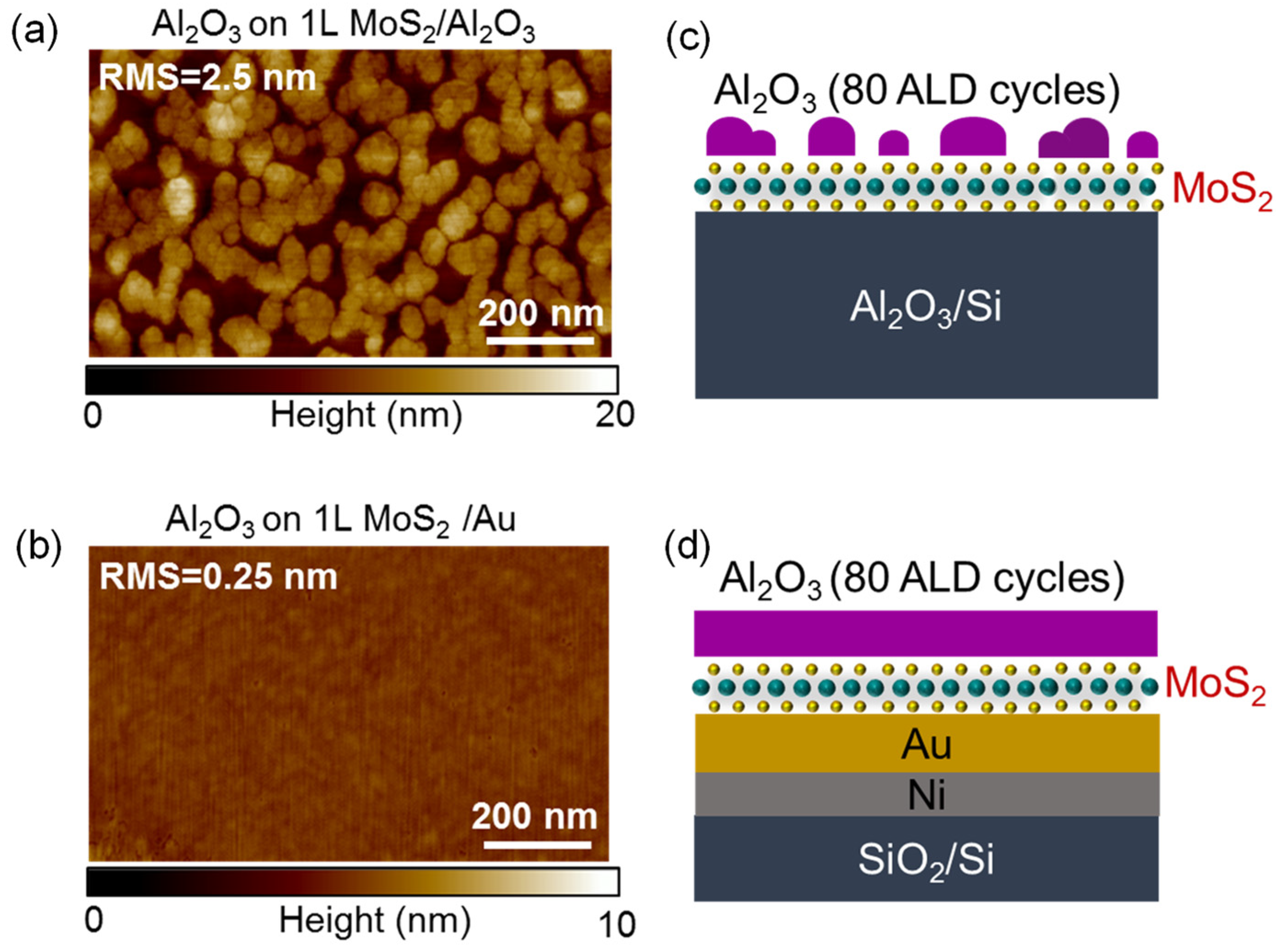 Applsci 11 11052 g010