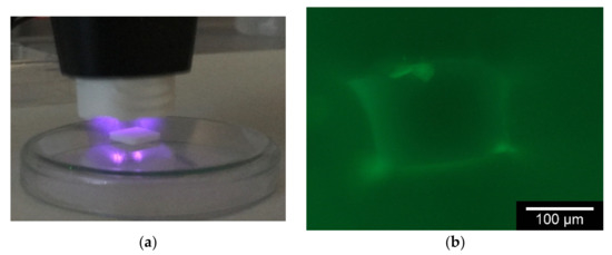 Applsci 11 11063 g0a1 550