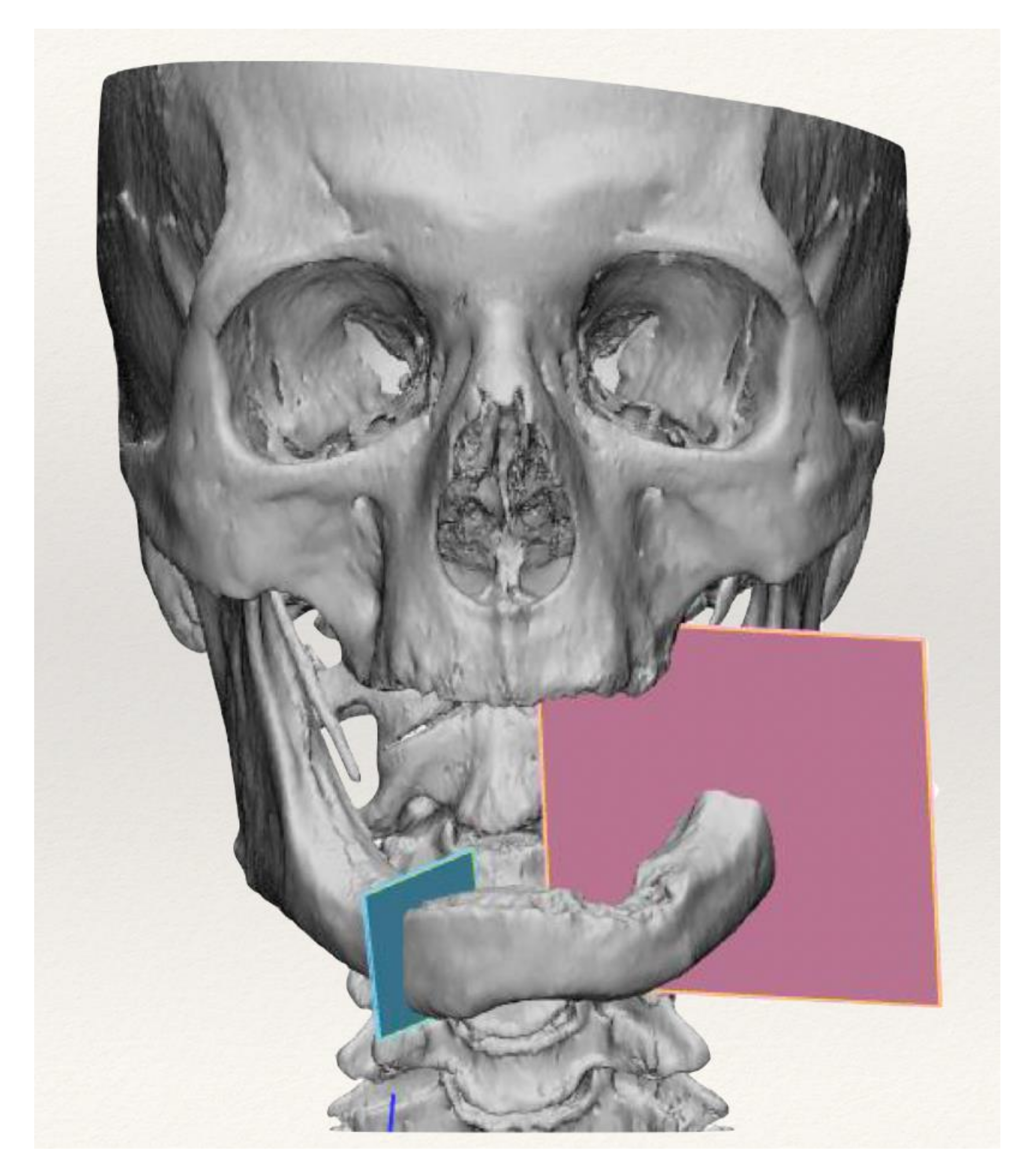 Applsci 11 11069 g002