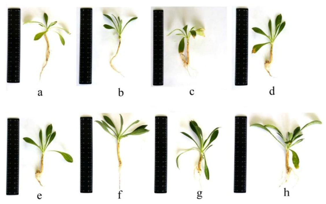 Applsci 11 11099 g004