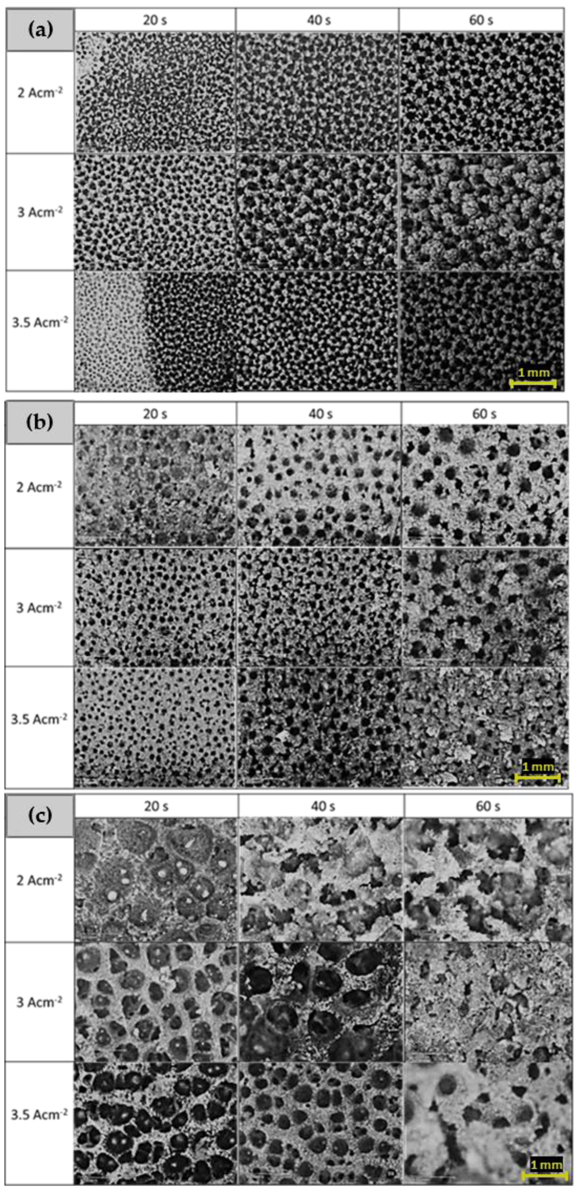 Applsci 11 11104 g002