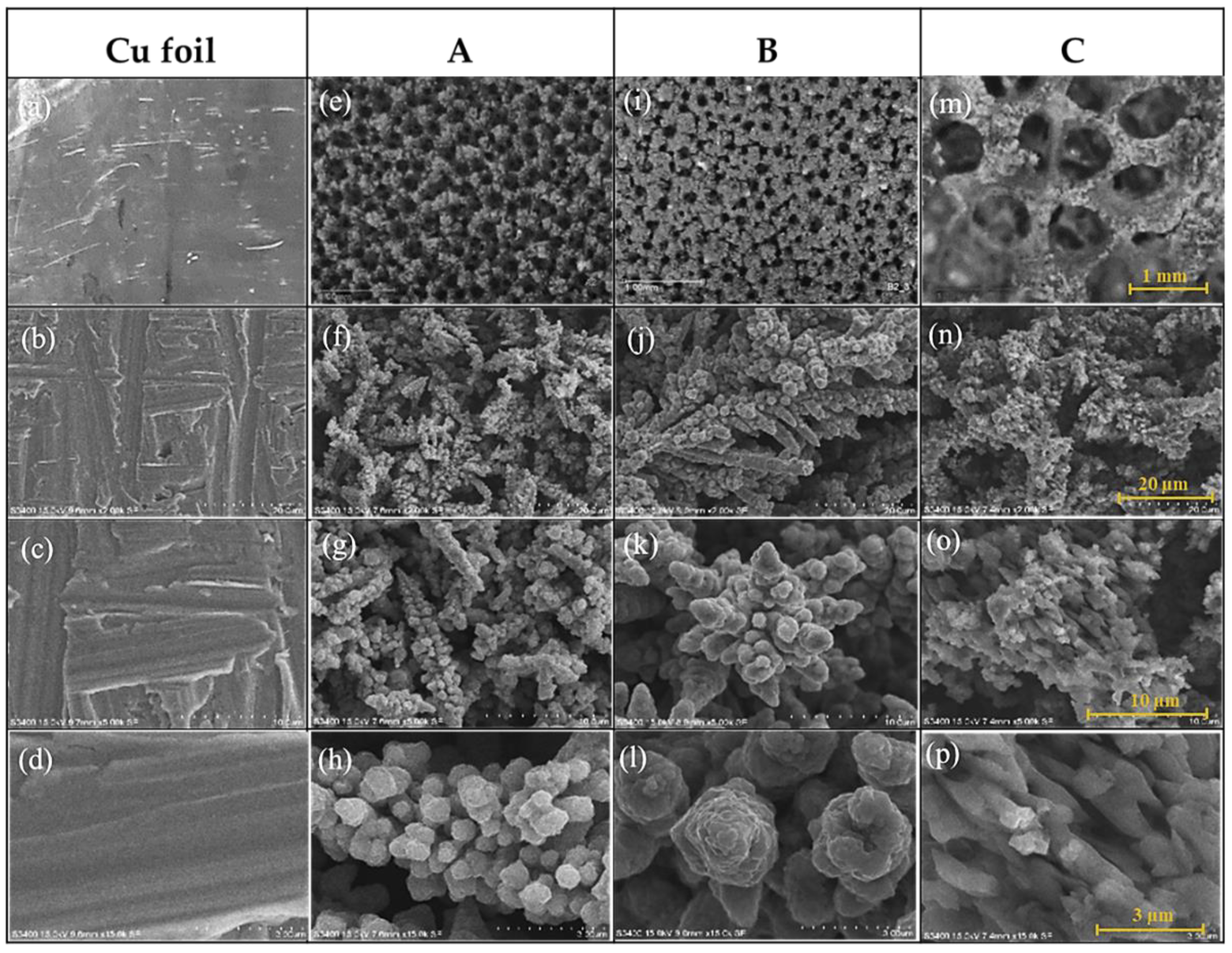 Applsci 11 11104 g004