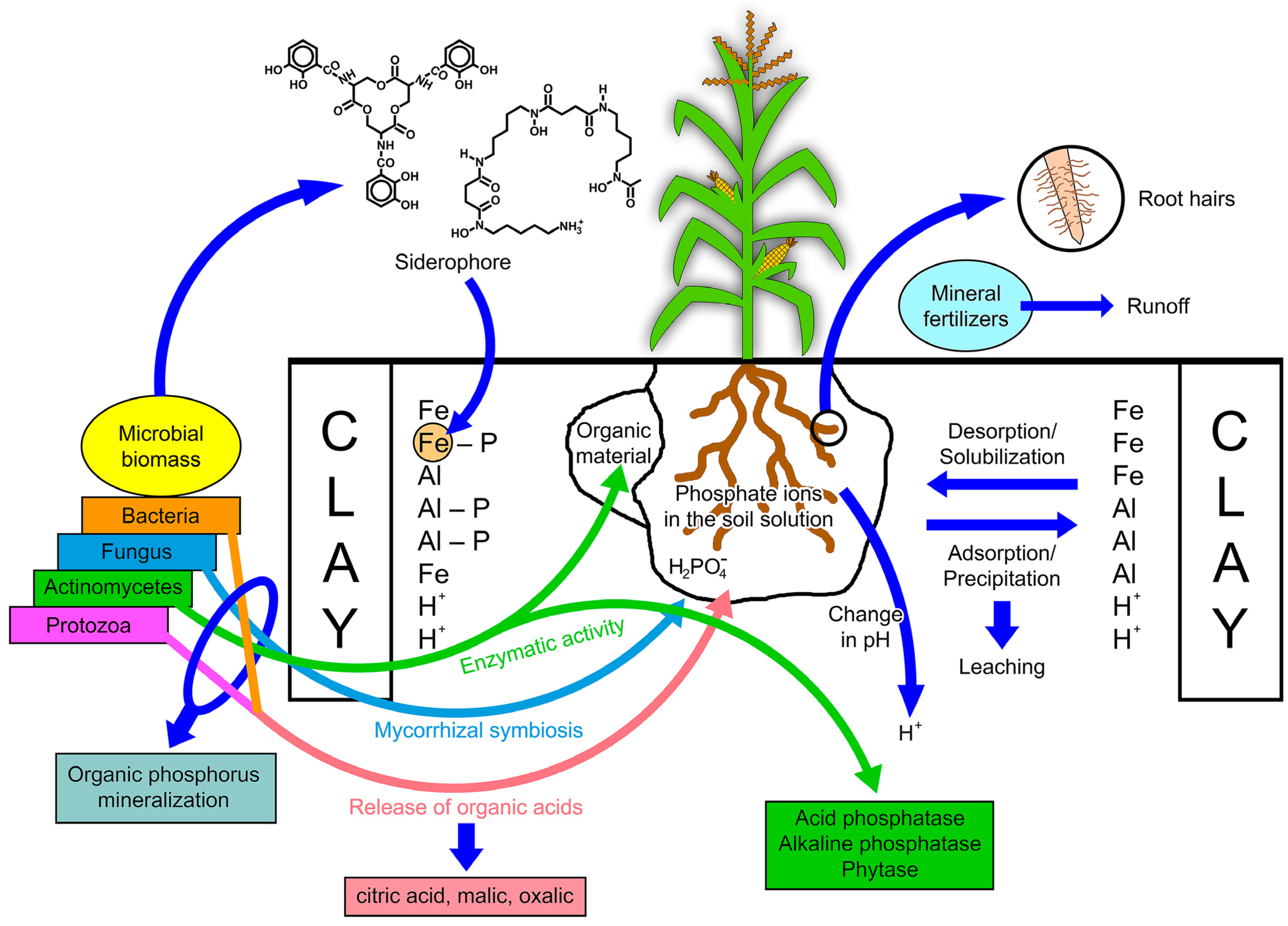 Applsci 11 11133 g002