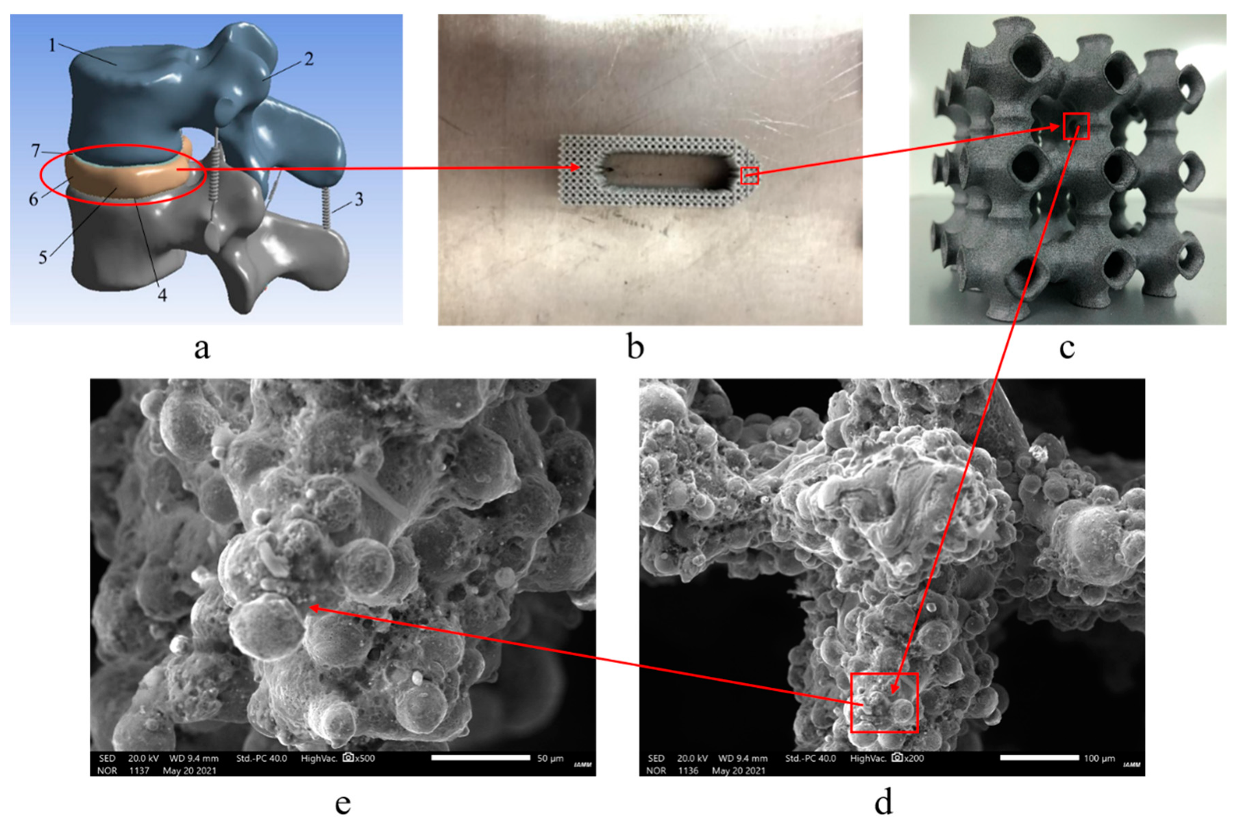 Applsci 11 11149 g010