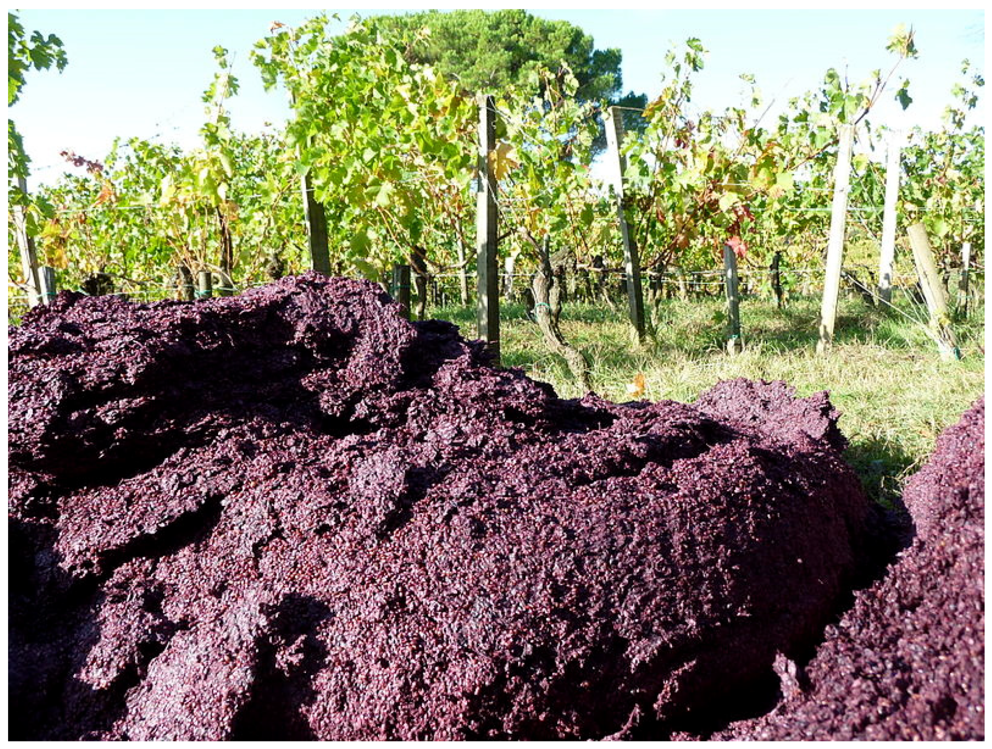 Applsci 11 11188 g008