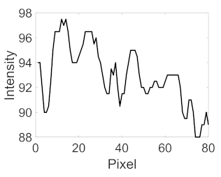 Applsci 11 11201 i013