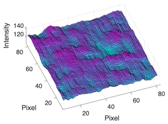 Applsci 11 11201 i026