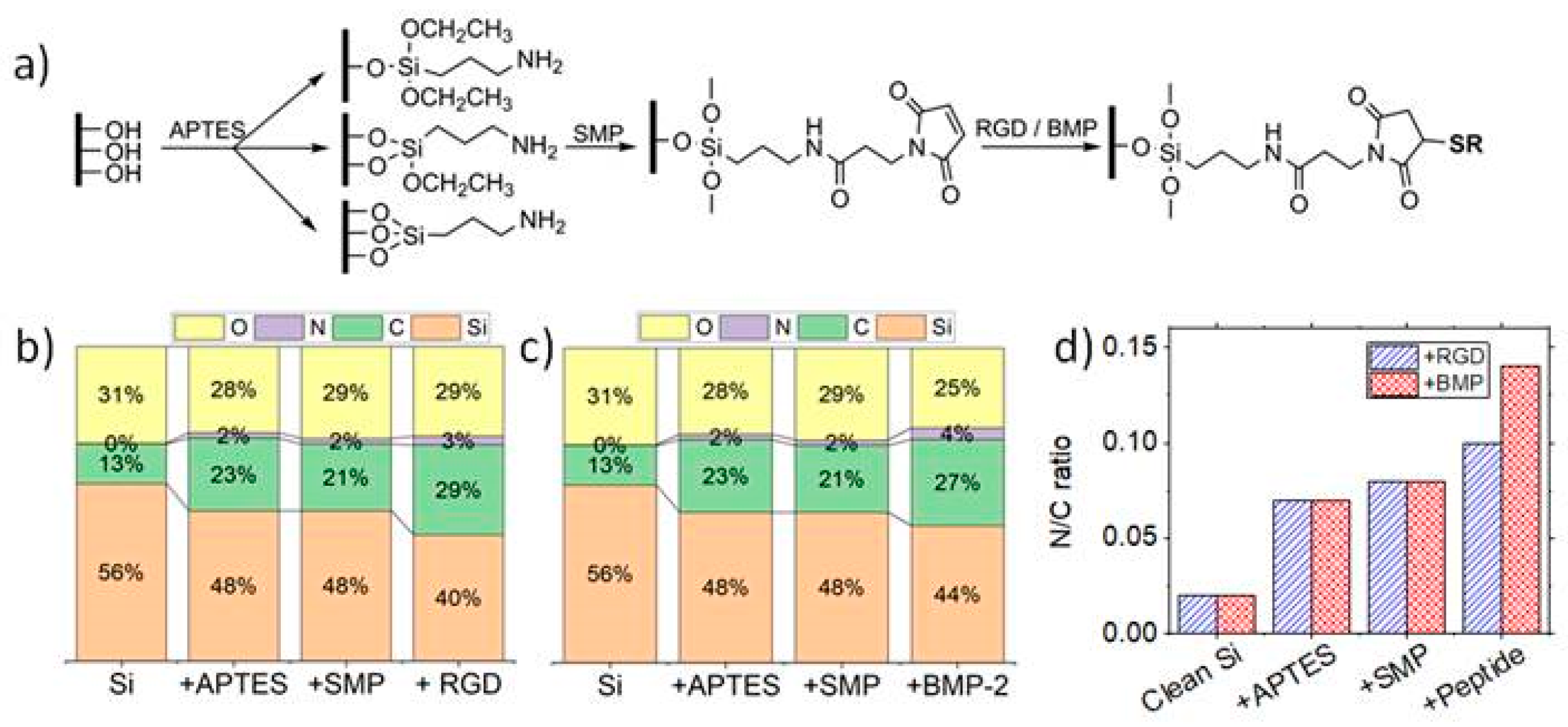 Applsci 11 11209 g001
