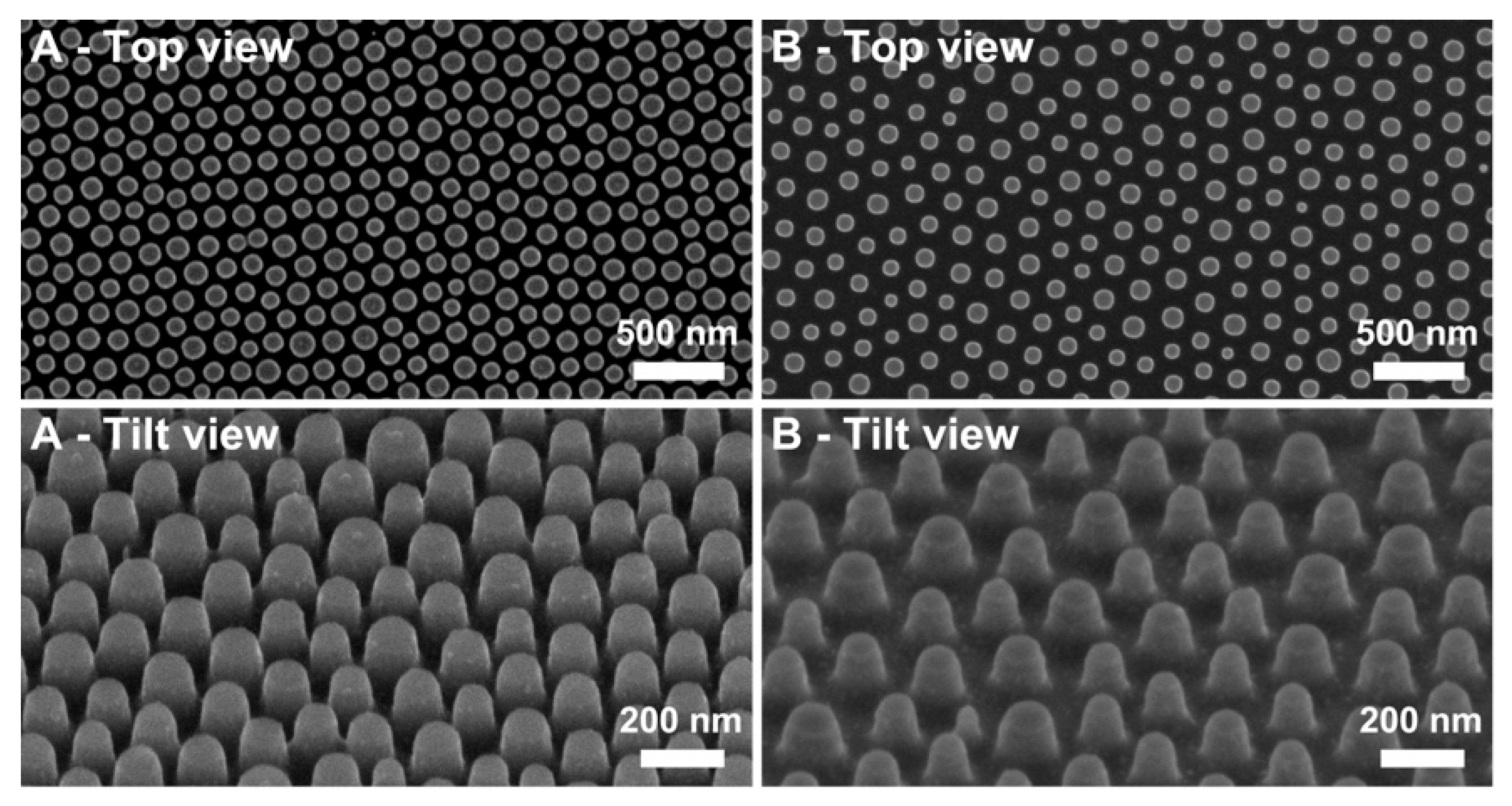 Applsci 11 11209 g002