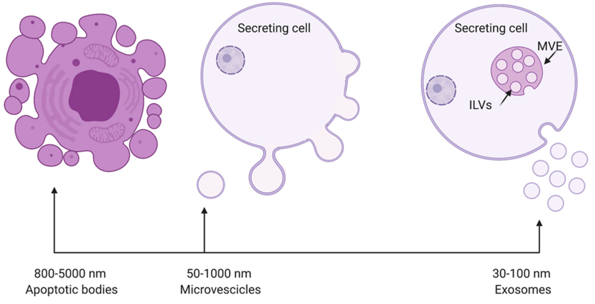 Applsci 11 11222 g001