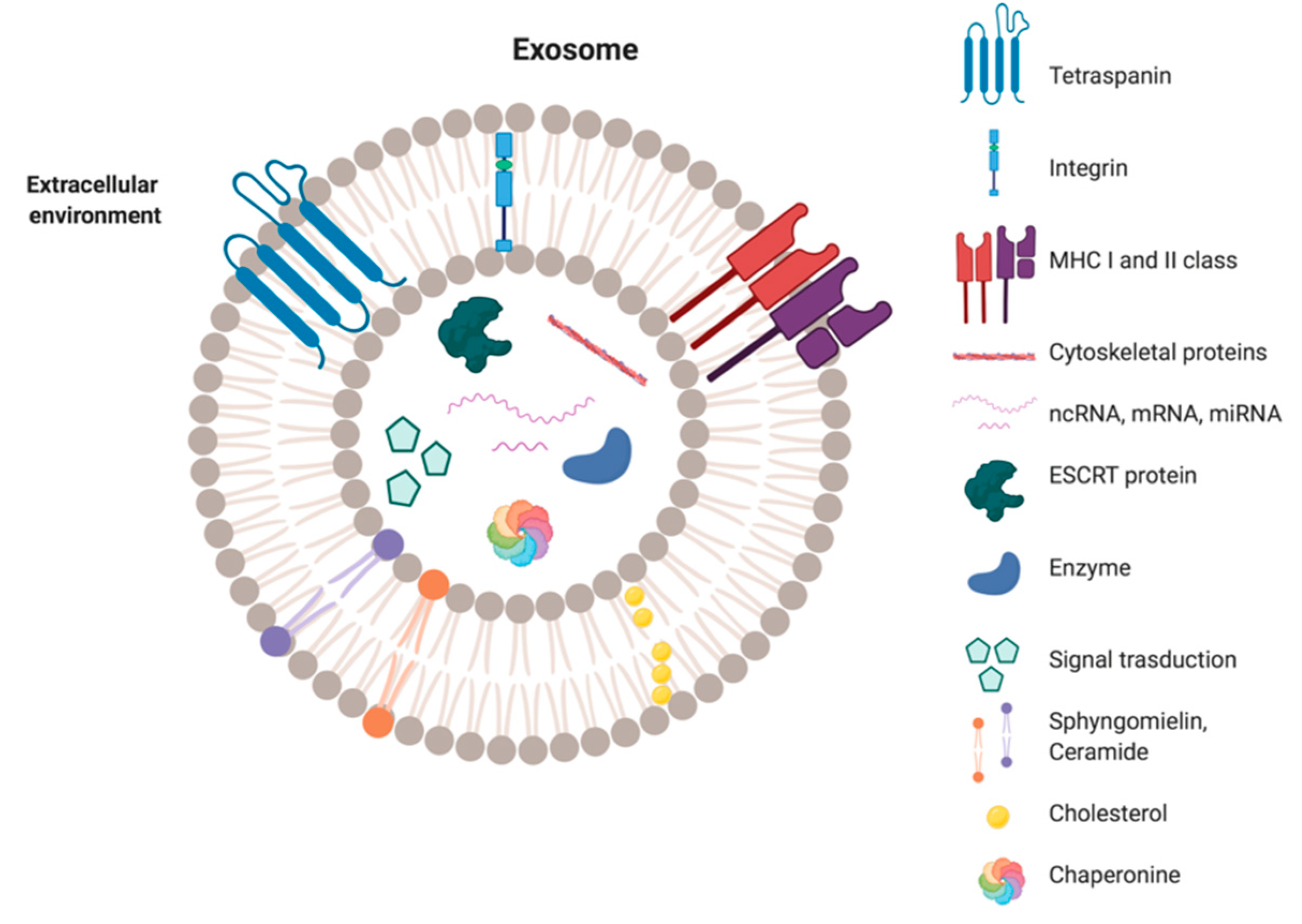 Applsci 11 11222 g002