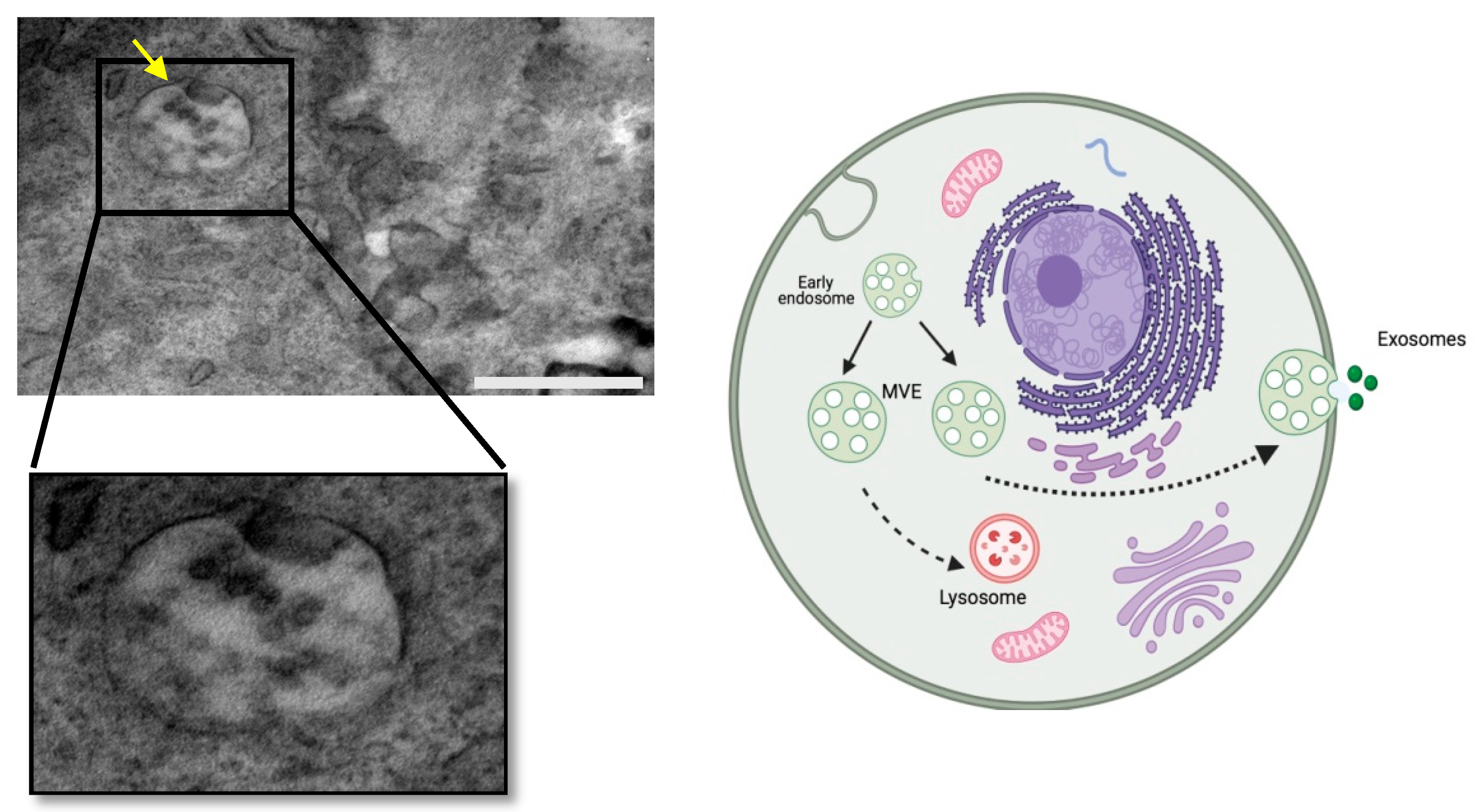 Applsci 11 11222 g003