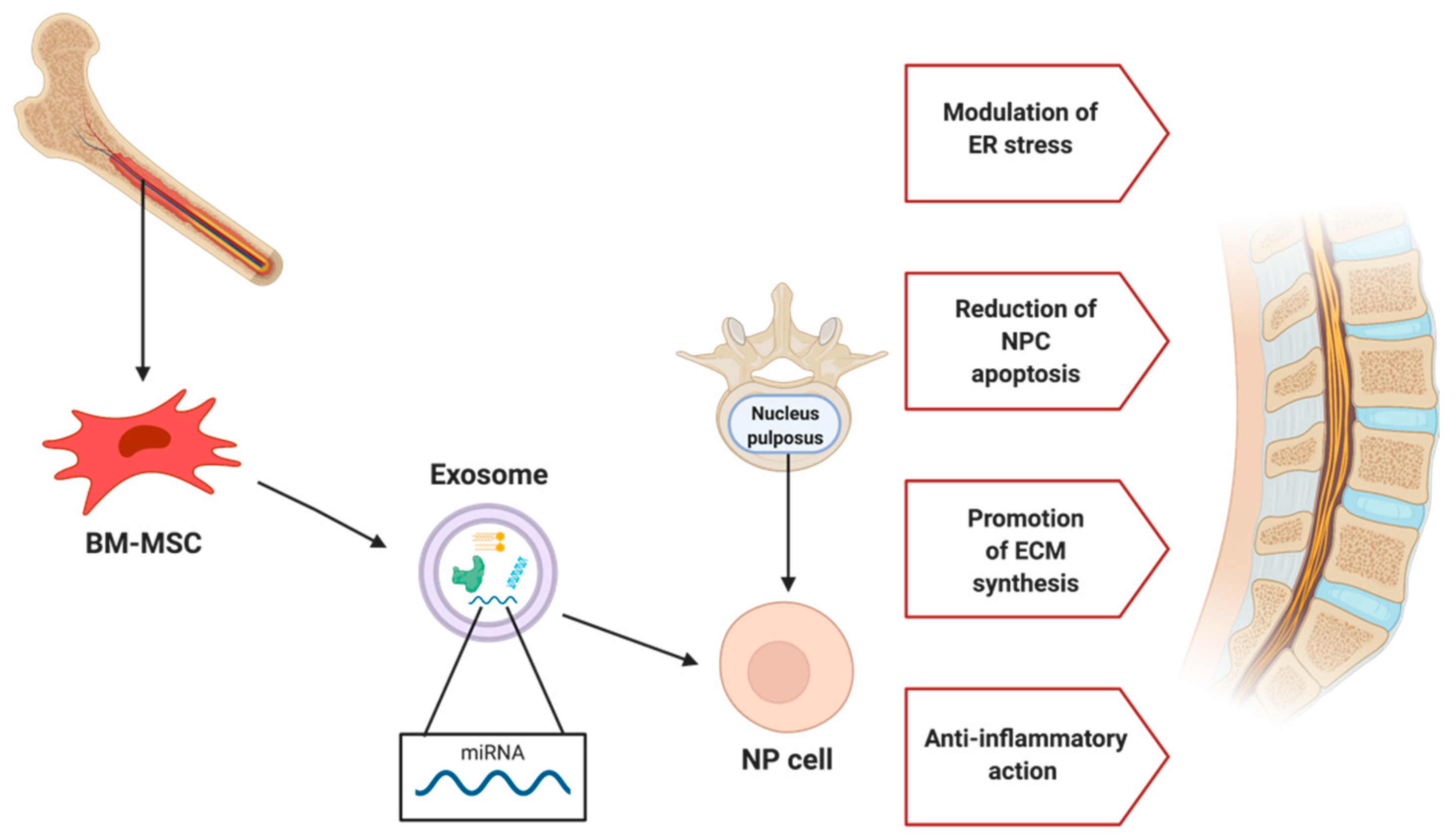 Applsci 11 11222 g004