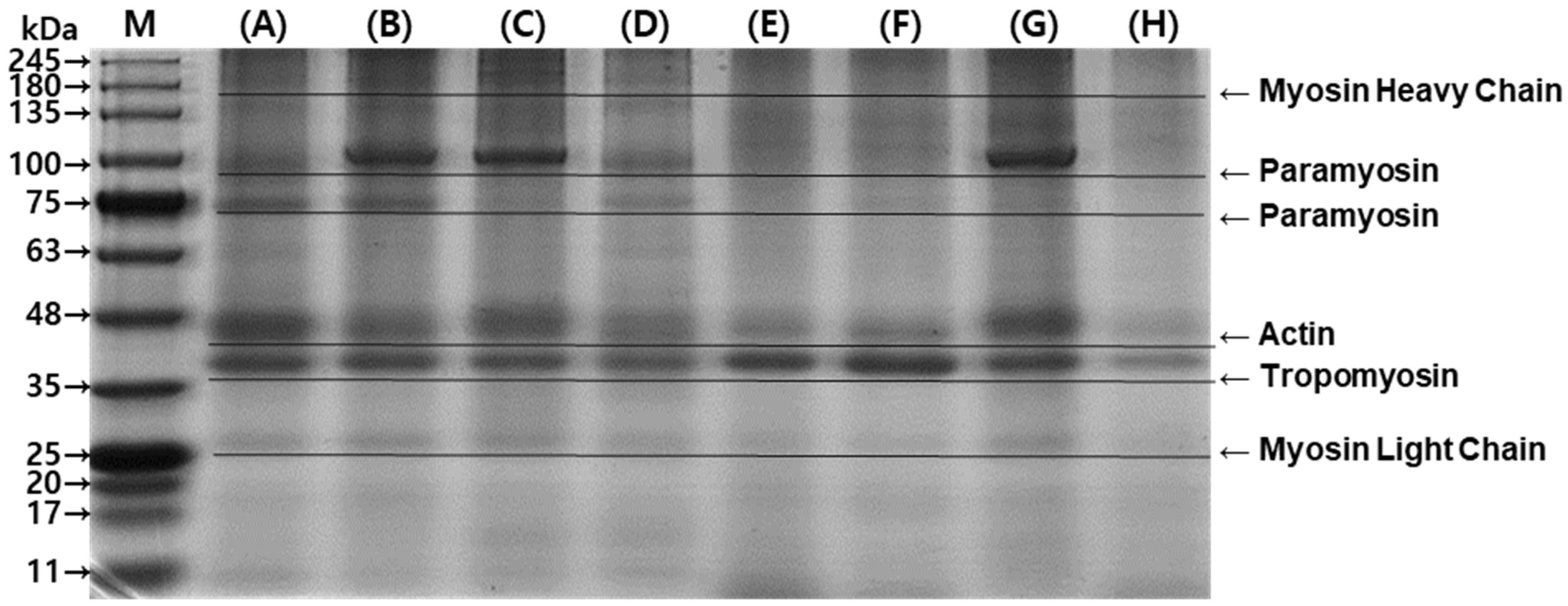 Applsci 11 11239 g006