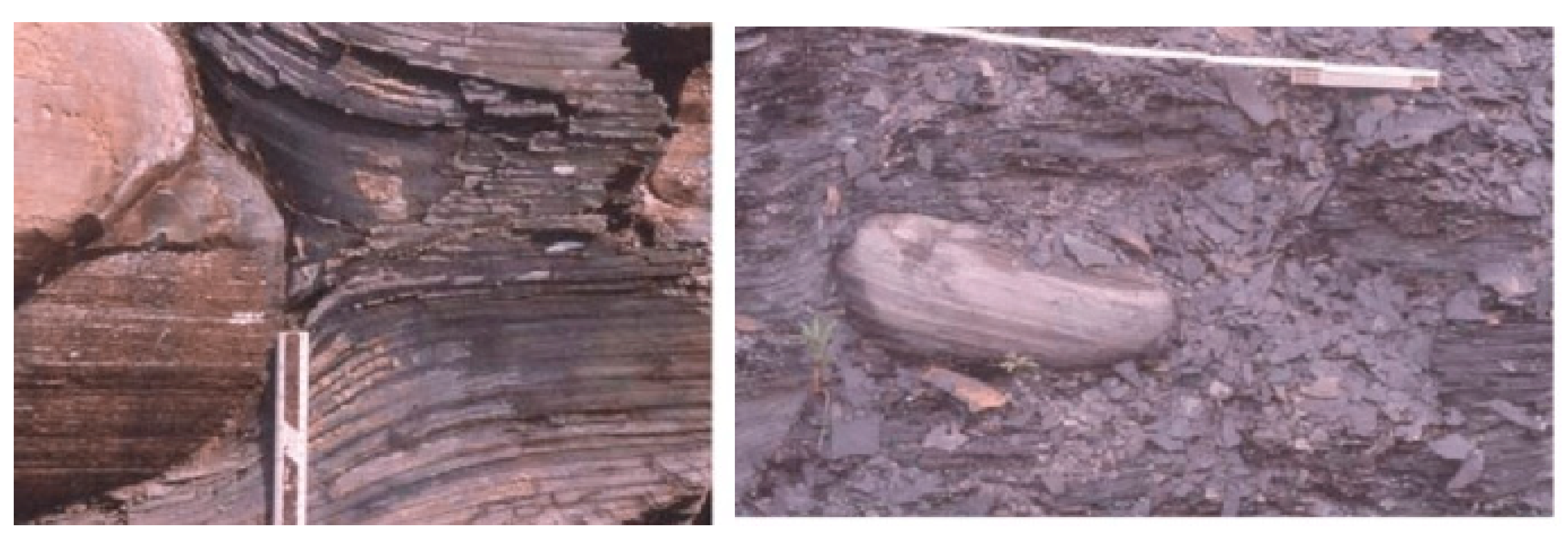 Applsci 11 11244 g001