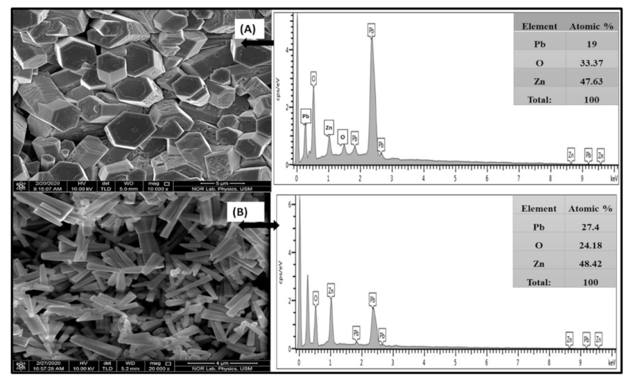 Applsci 11 11258 g002