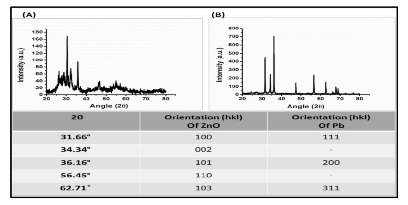 Applsci 11 11258 g003