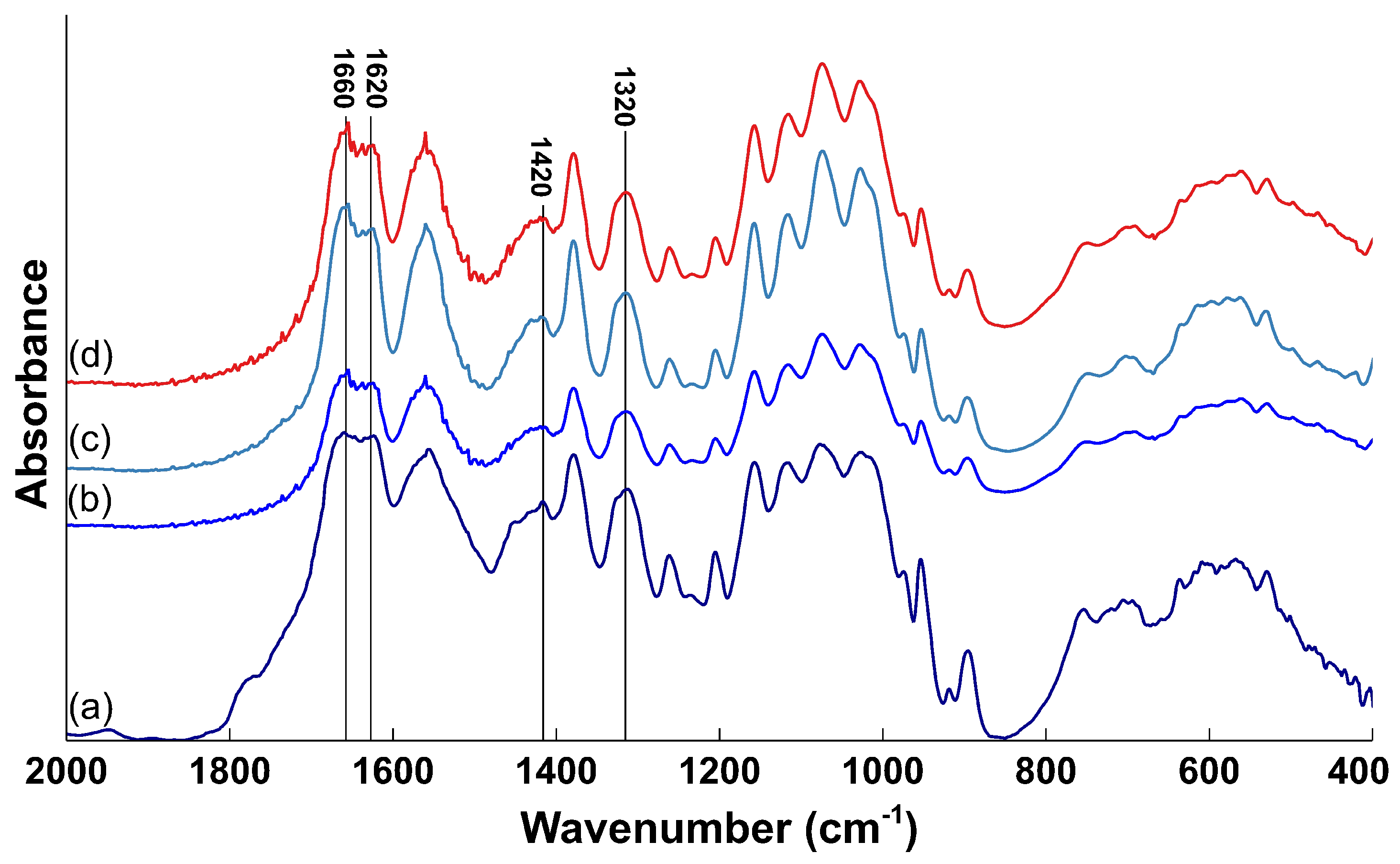 Applsci 11 11278 g001