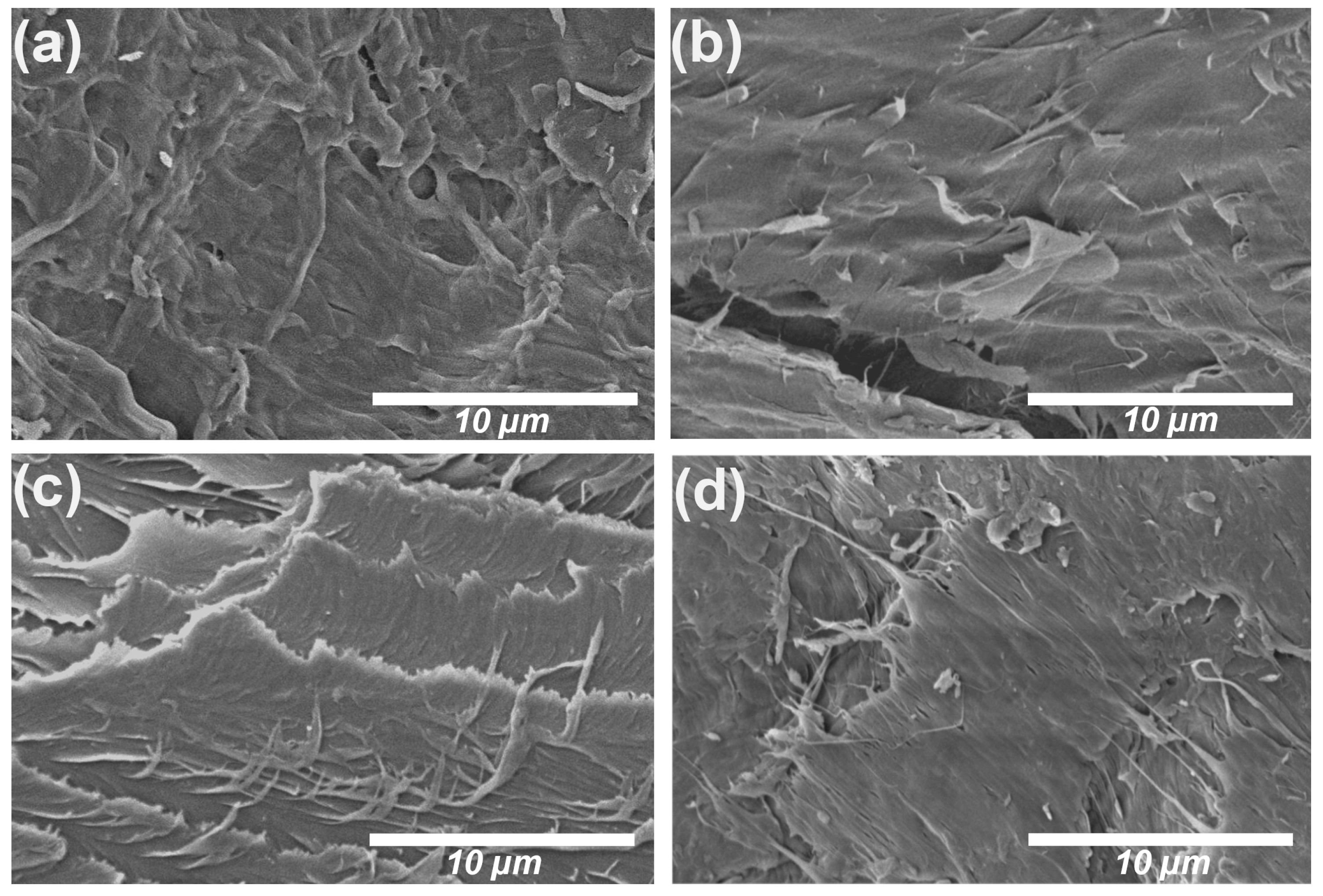 Applsci 11 11278 g007