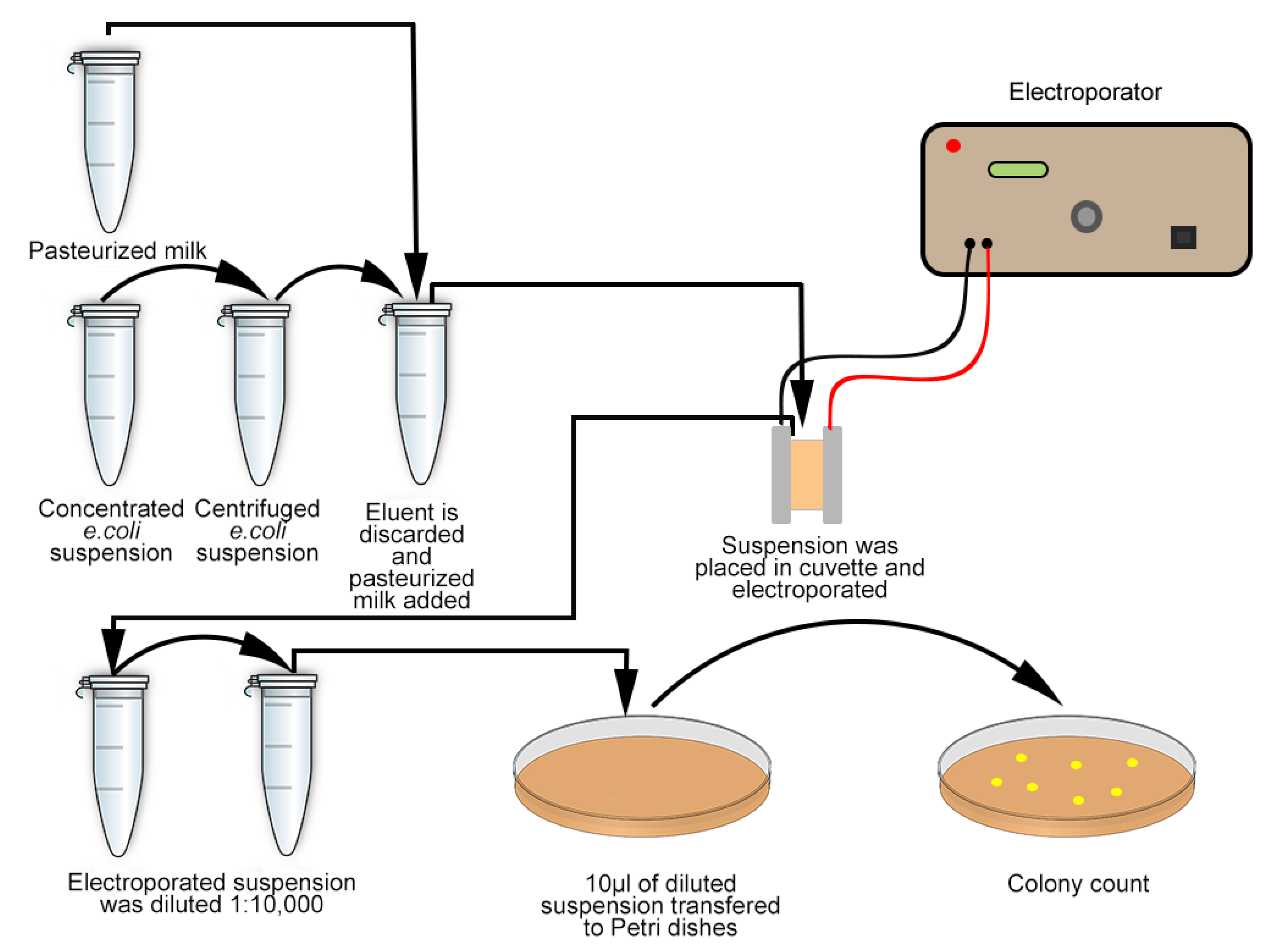 Applsci 11 11281 g001