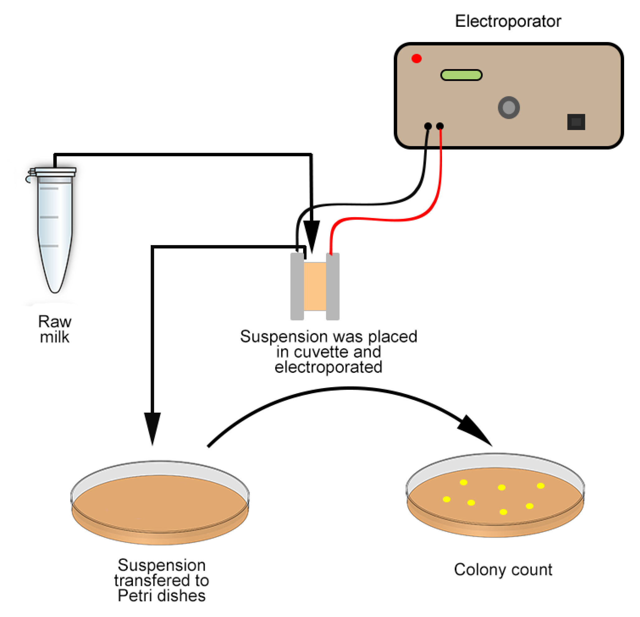 Applsci 11 11281 g002