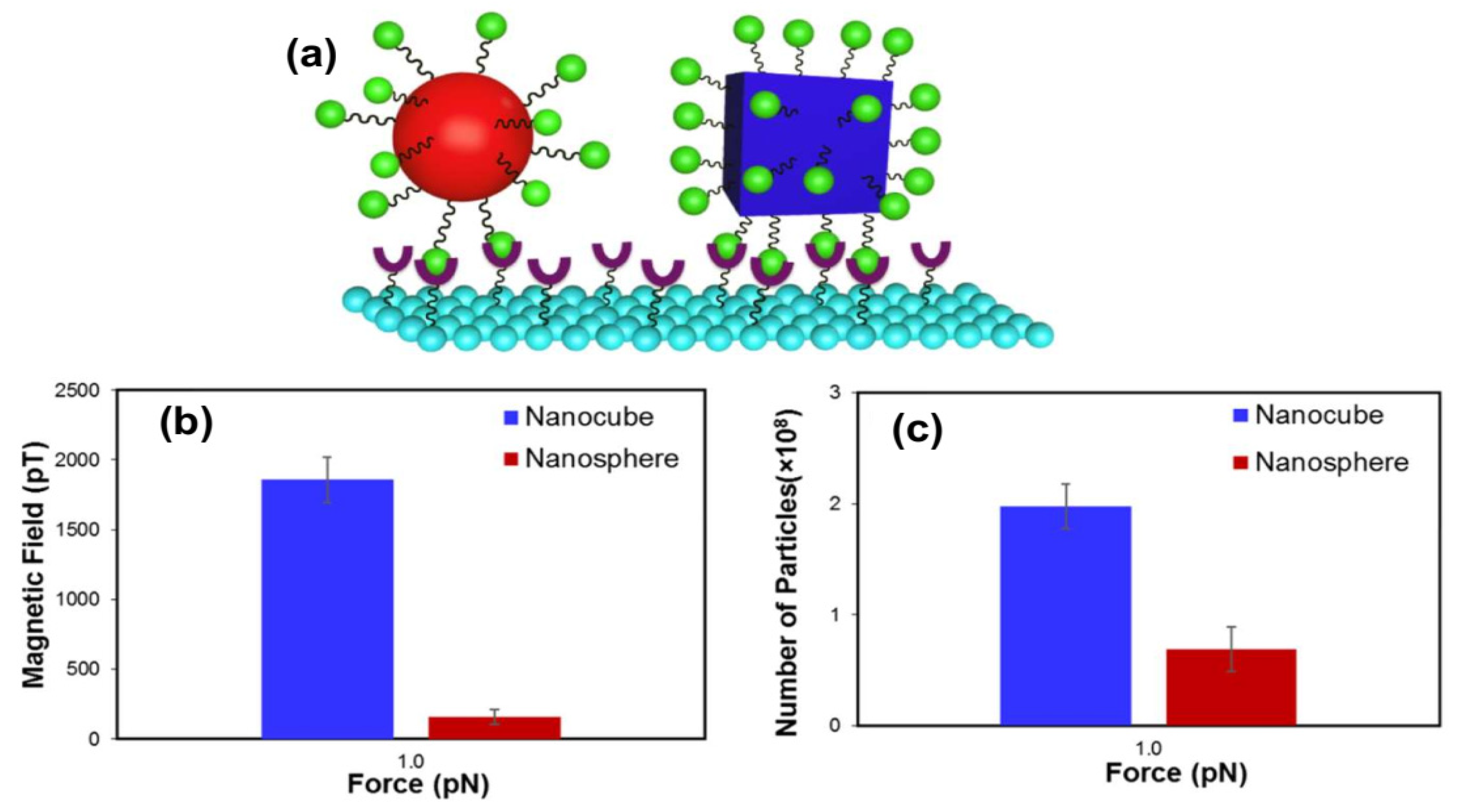 Applsci 11 11301 g012