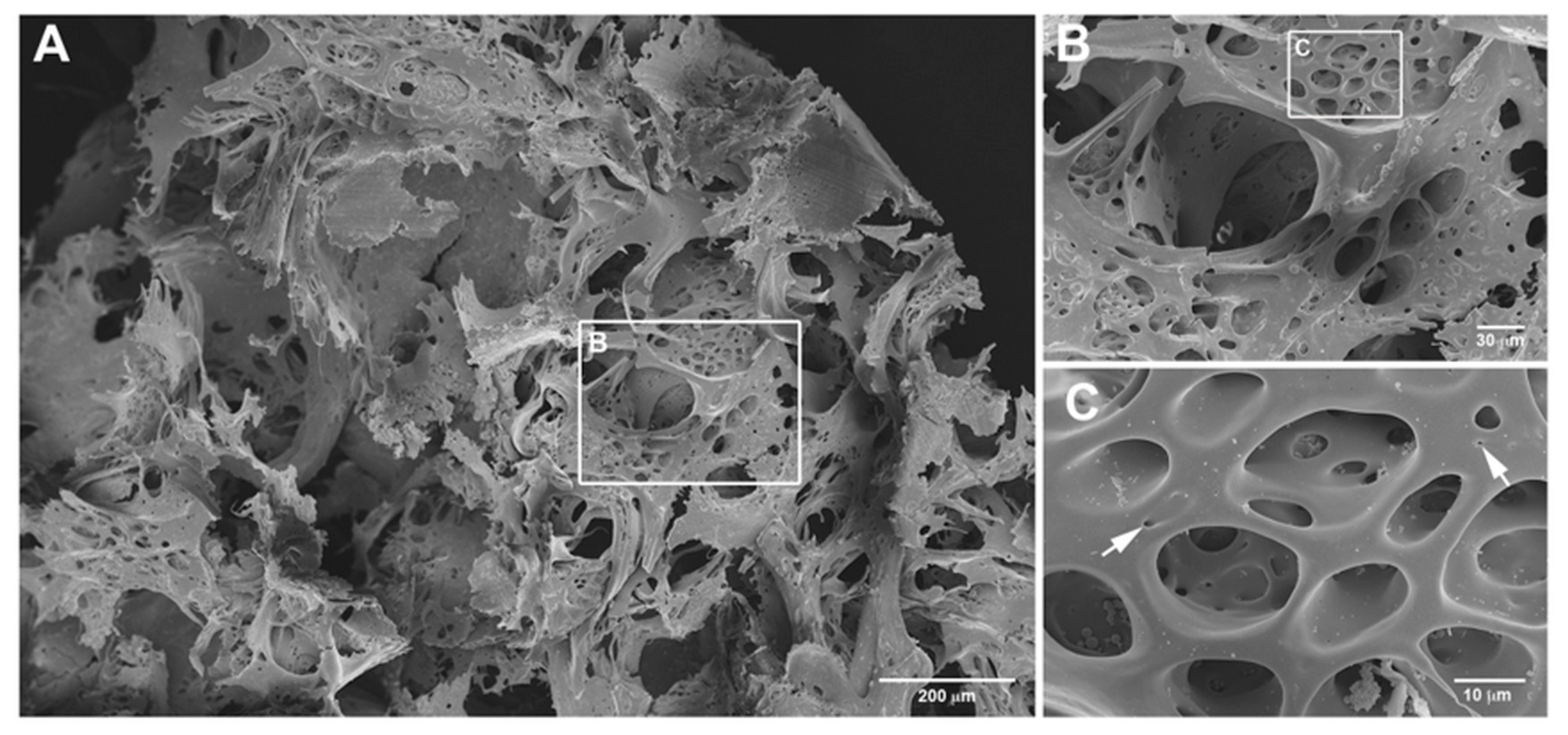 Applsci 11 11345 g004