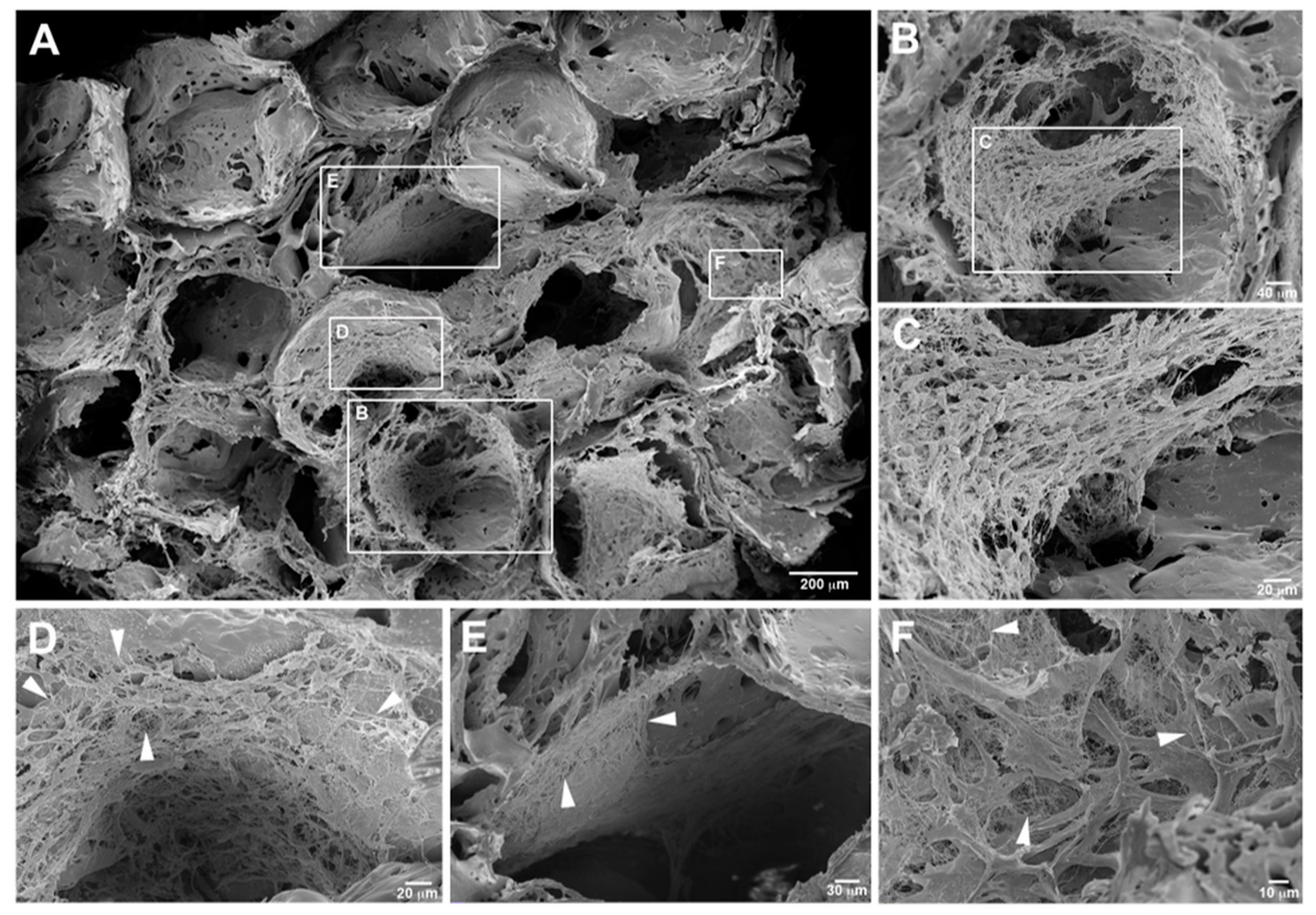 Applsci 11 11345 g005