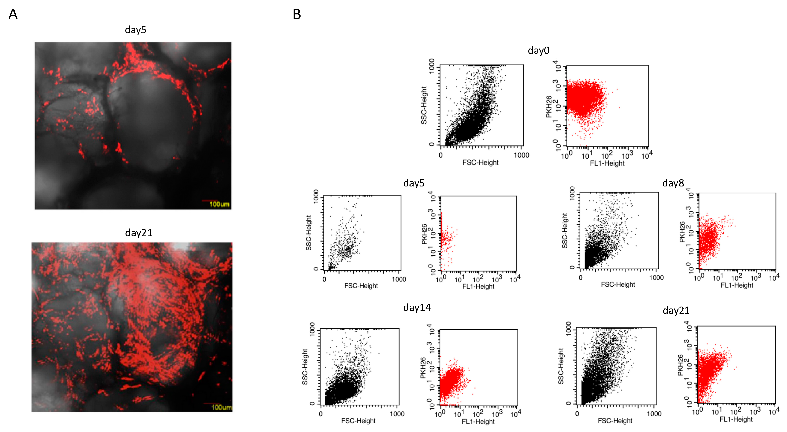 Applsci 11 11345 g006