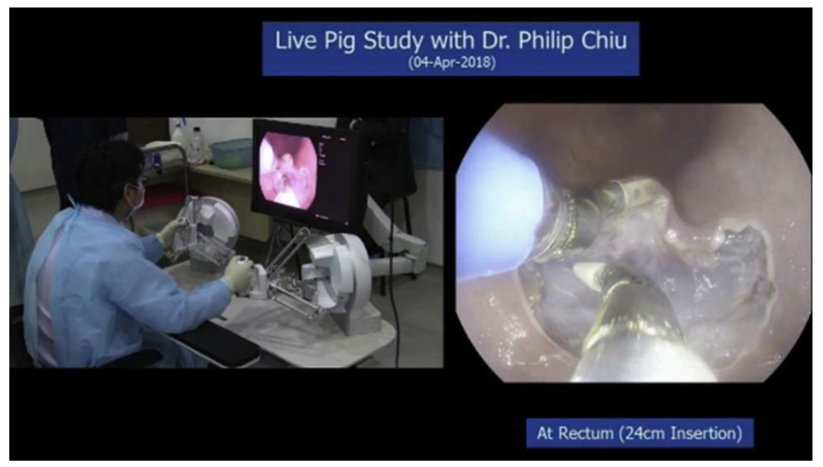 Applsci 11 11351 g001