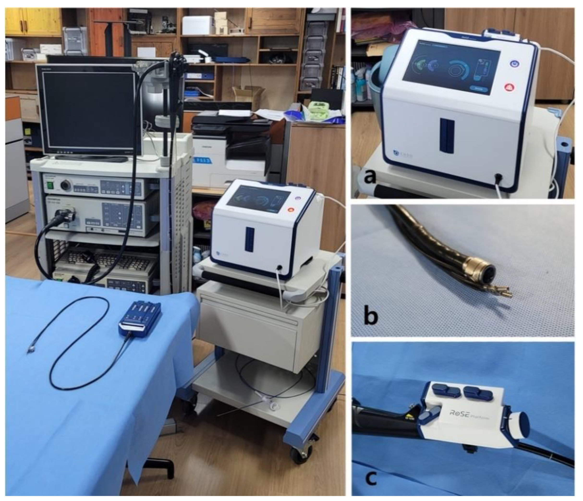 Applsci 11 11351 g005