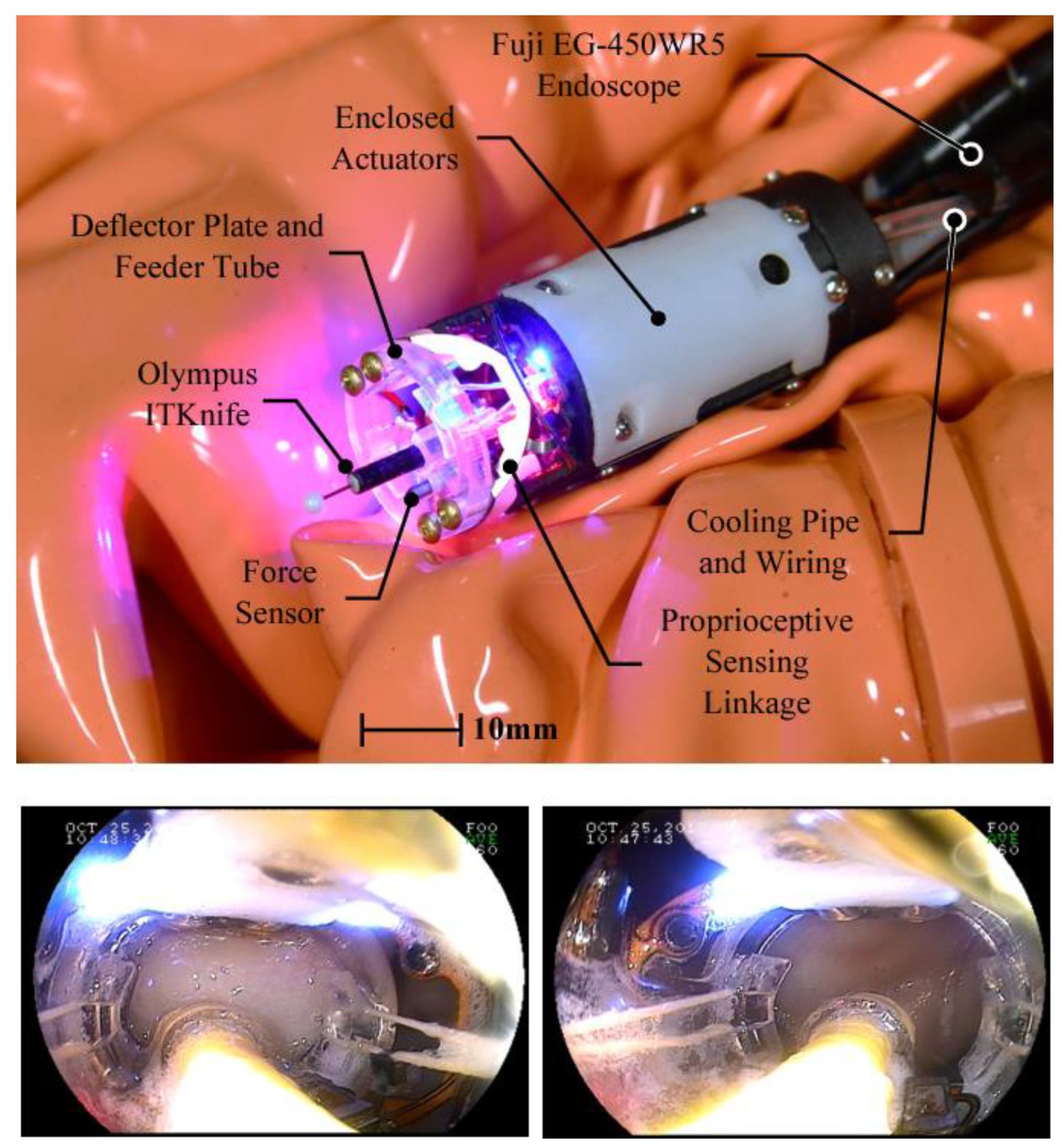 Applsci 11 11351 g006