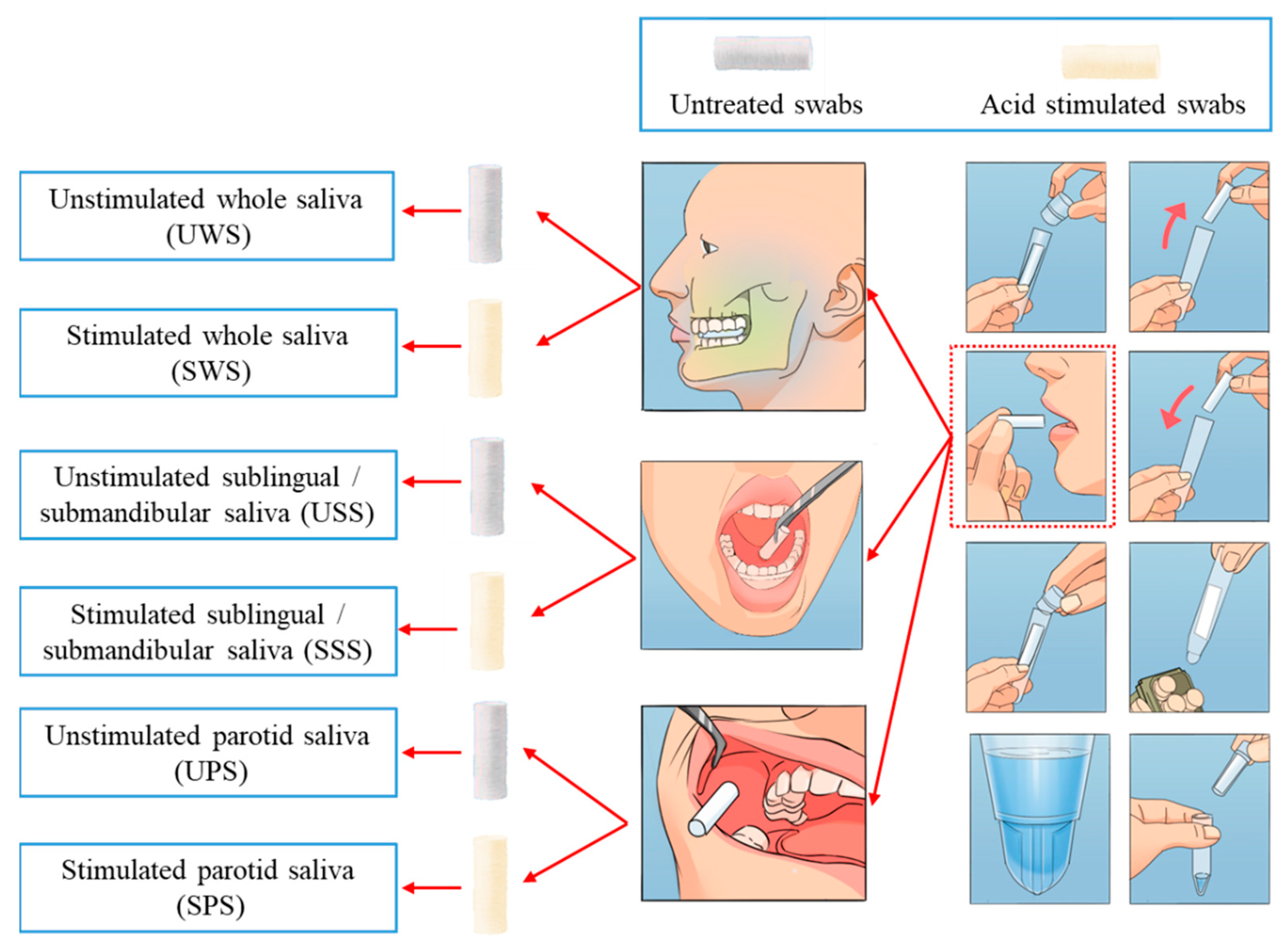 Applsci 11 11367 g001