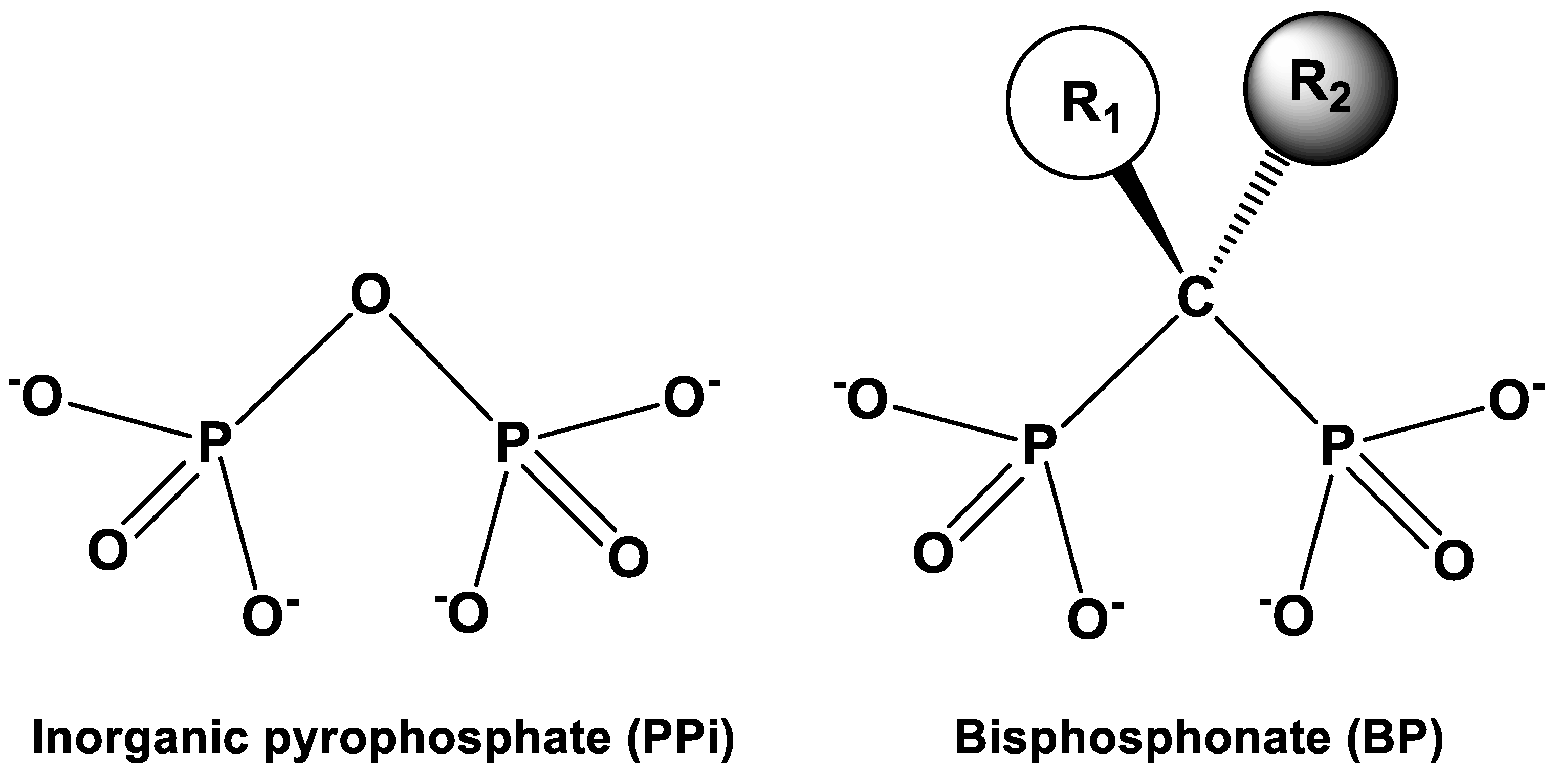 Applsci 11 11383 g001
