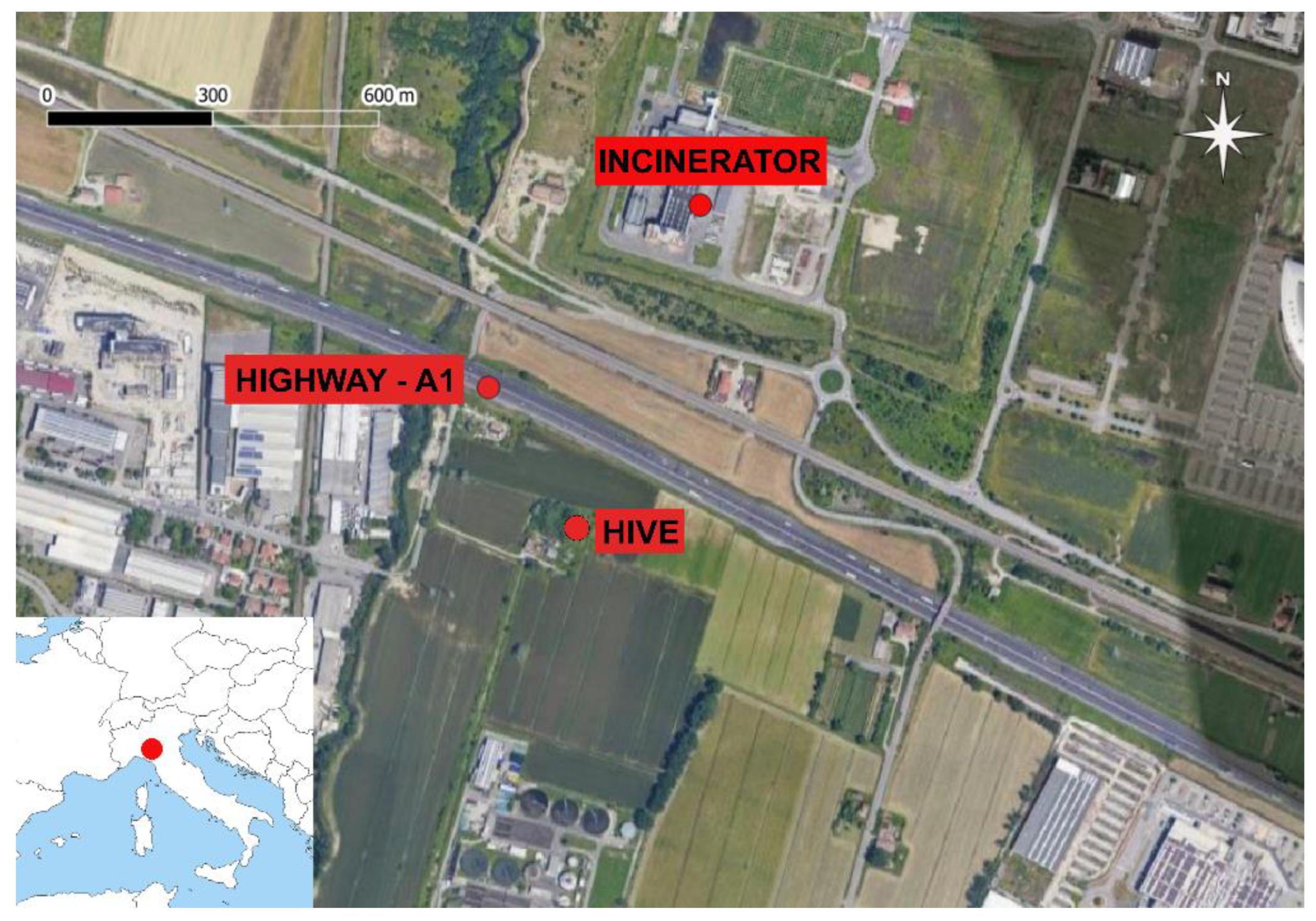 Applsci 11 11390 g001