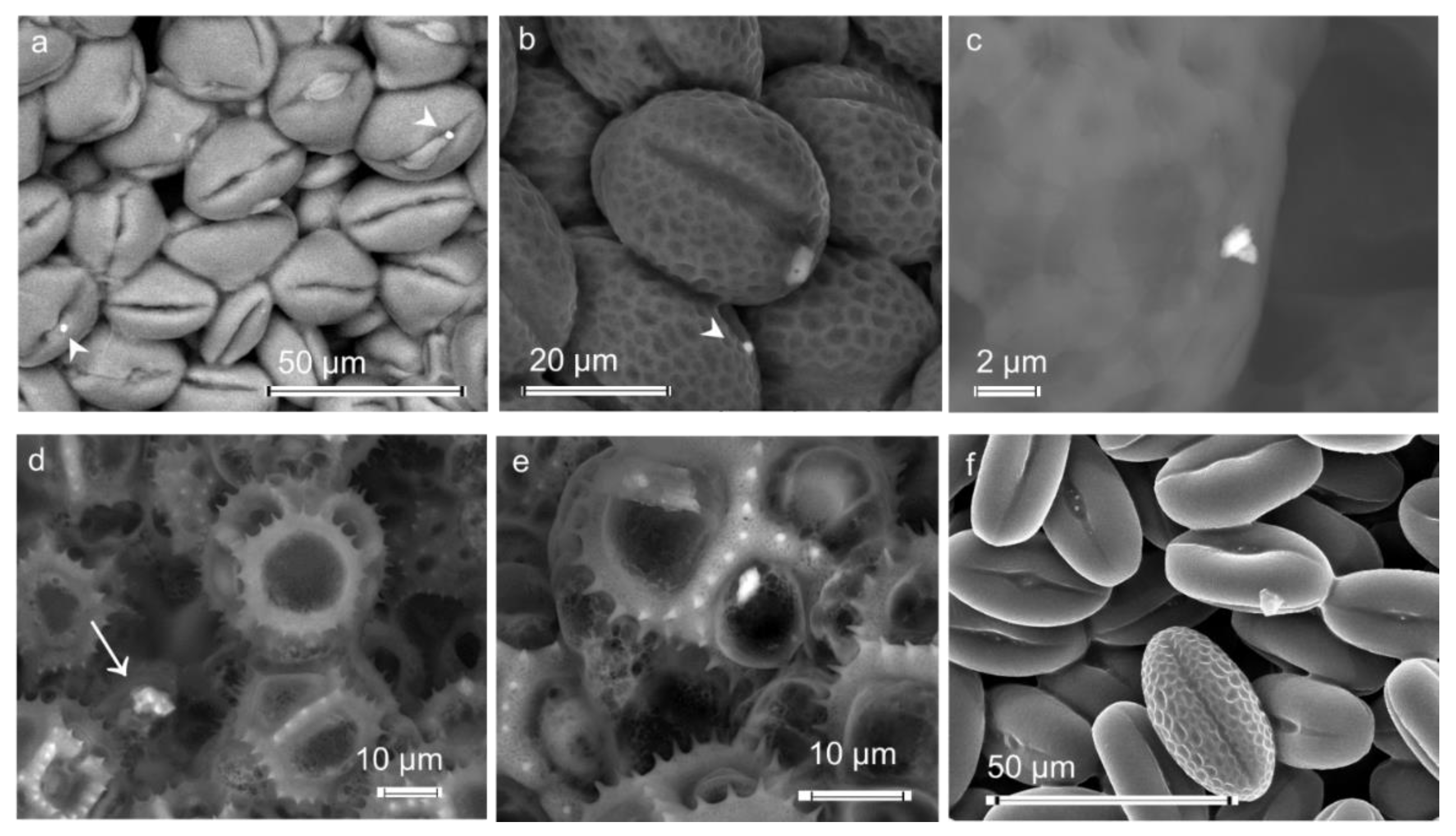 Applsci 11 11390 g003