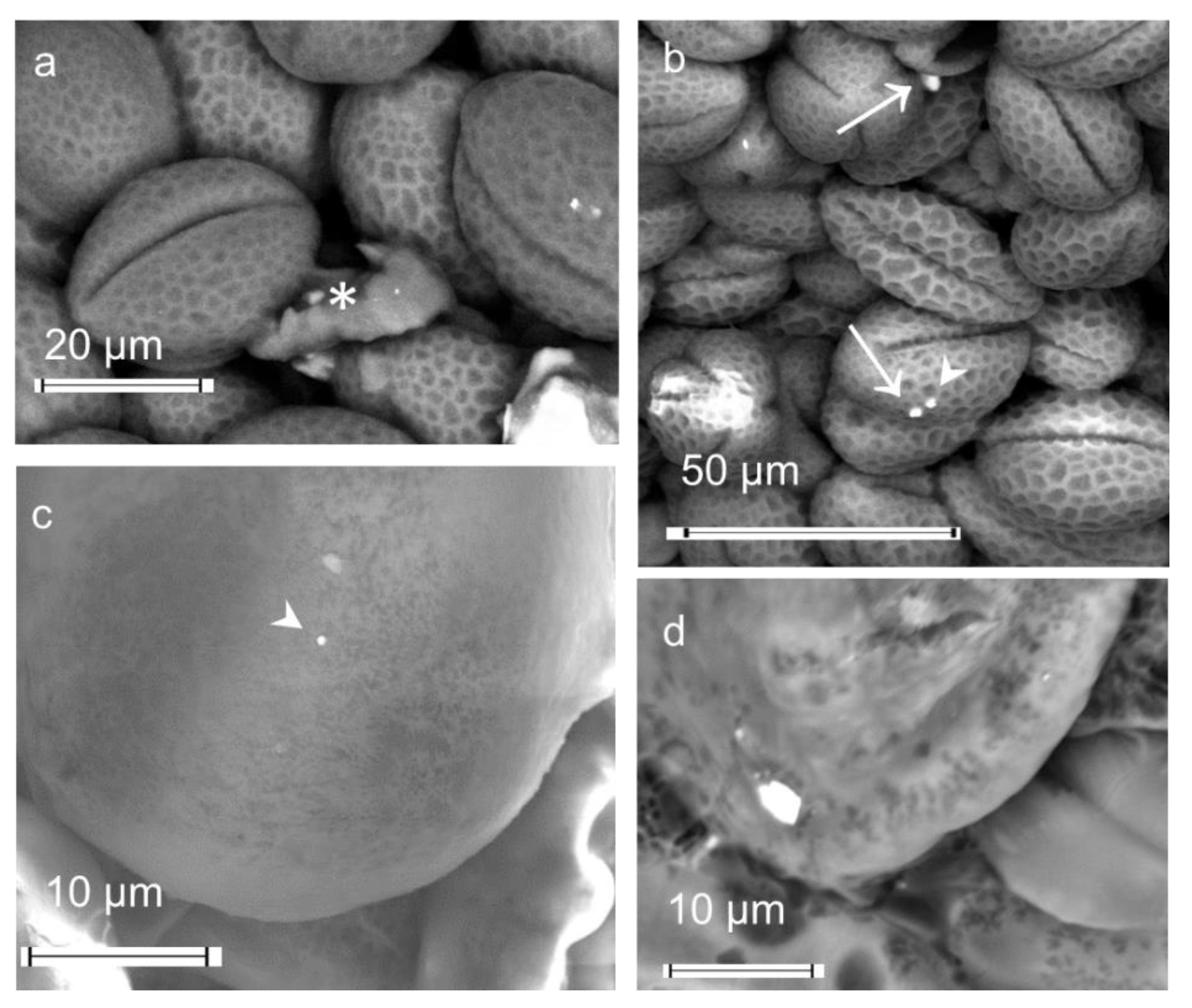 Applsci 11 11390 g004