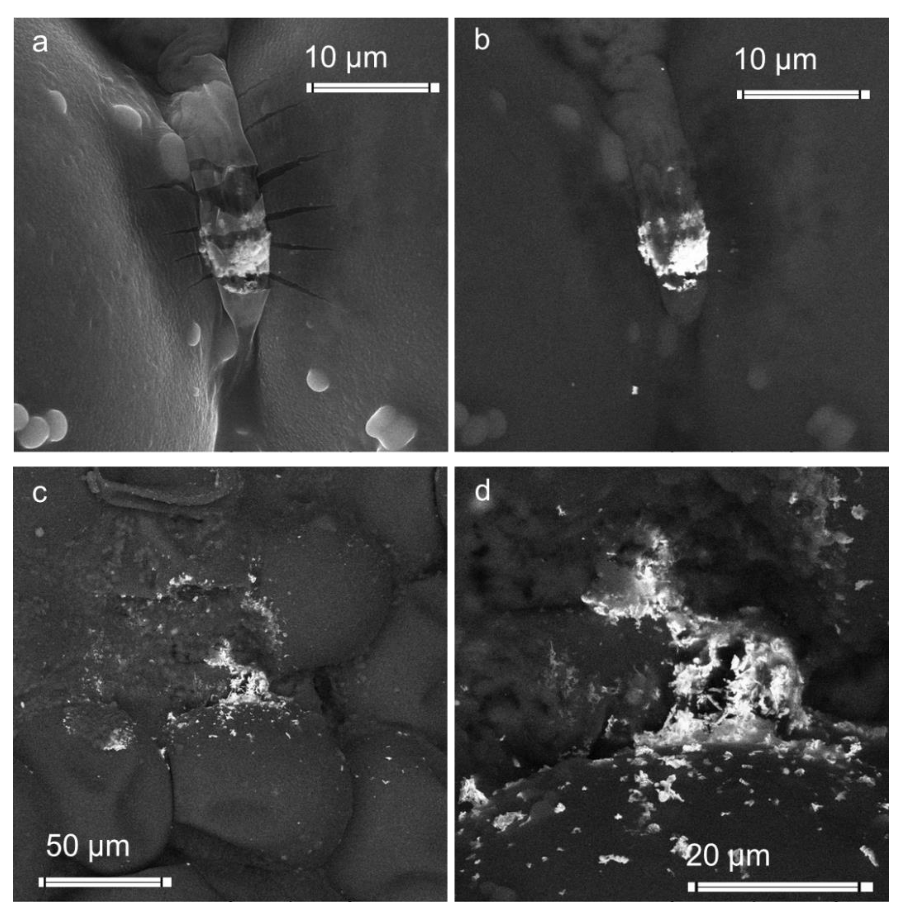 Applsci 11 11390 g006