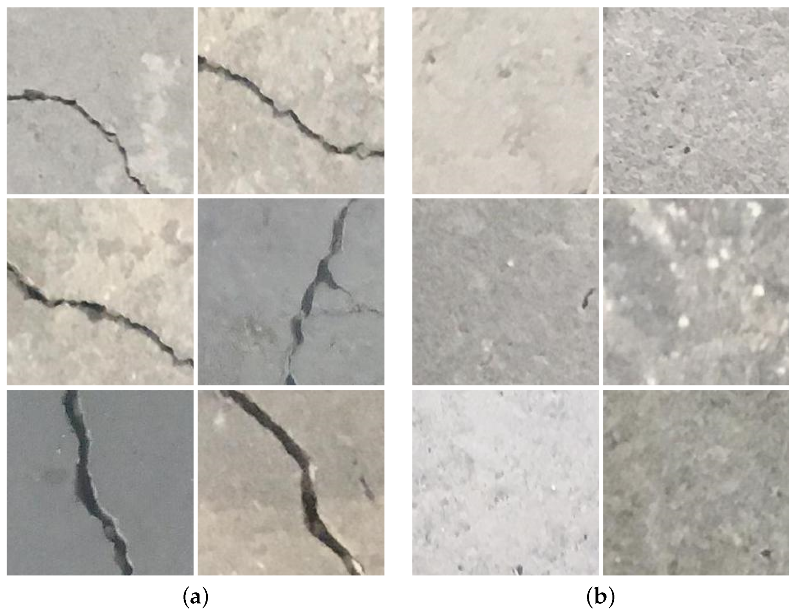 Applsci 11 11396 g001