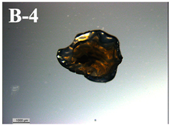 Applsci 11 11404 i005