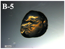 Applsci 11 11404 i006