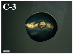 Applsci 11 11404 i009