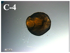 Applsci 11 11404 i010