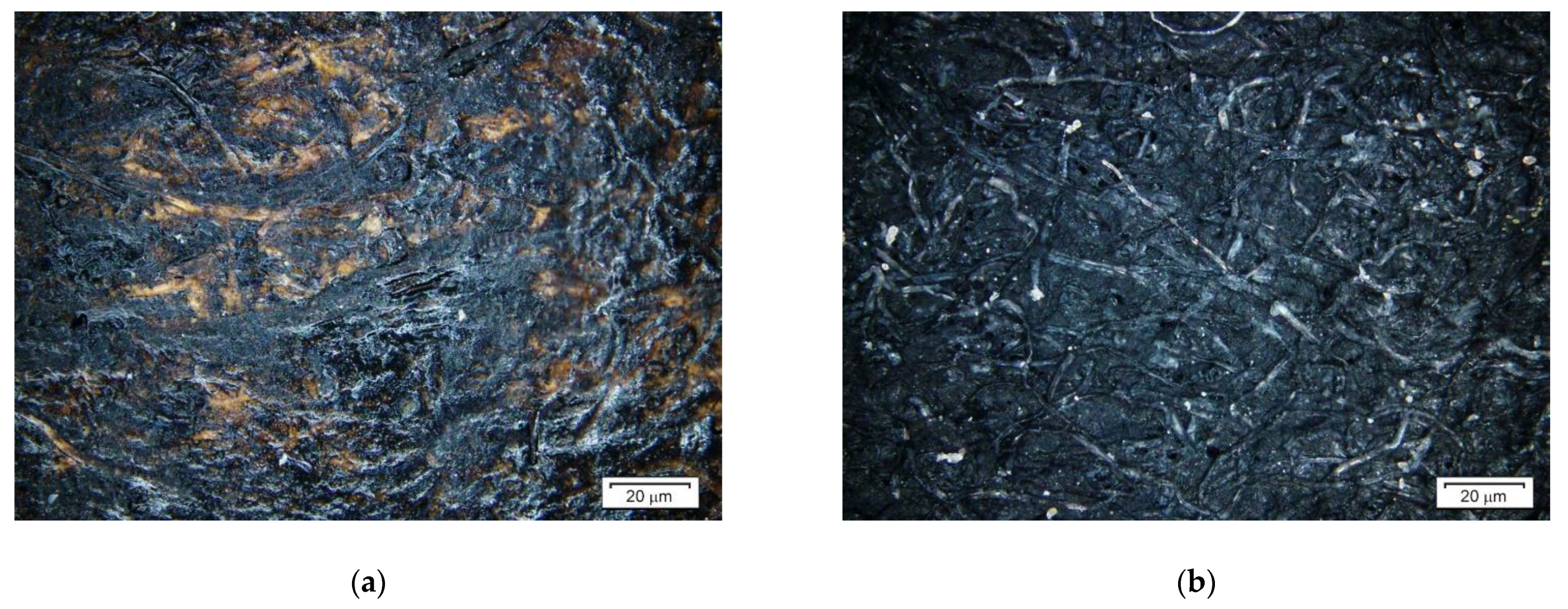 Applsci 11 11414 g001