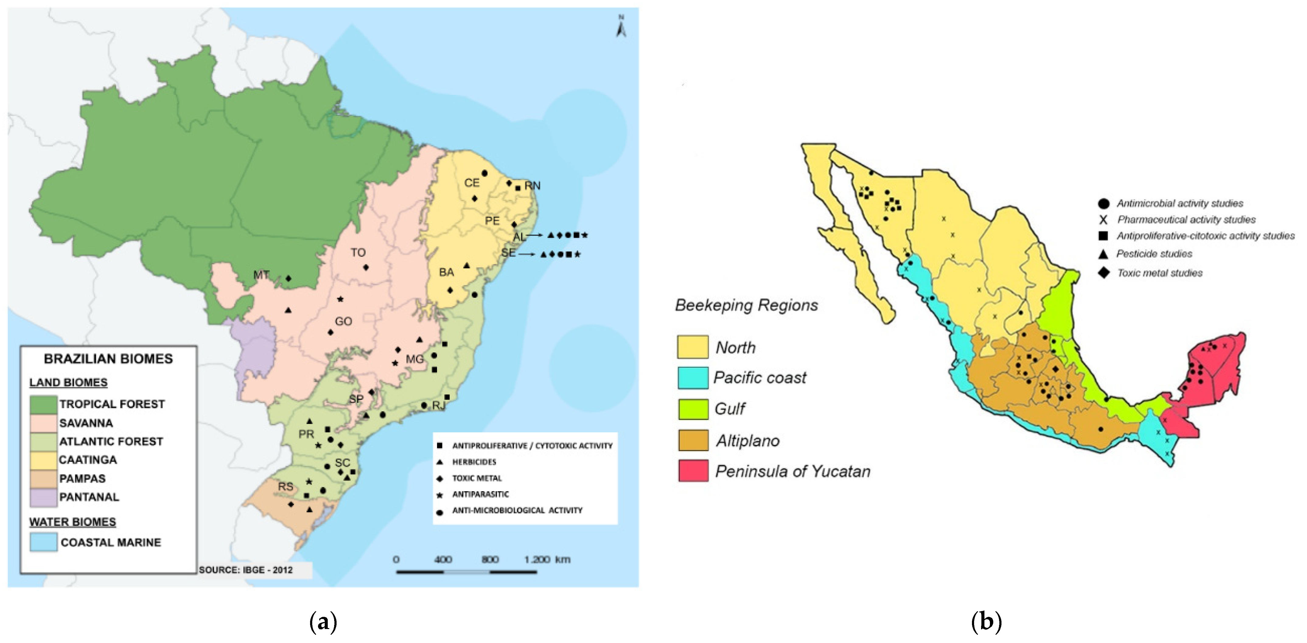 Applsci 11 11417 g001