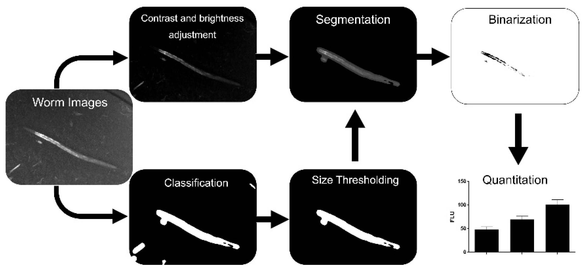 Applsci 11 11420 g001