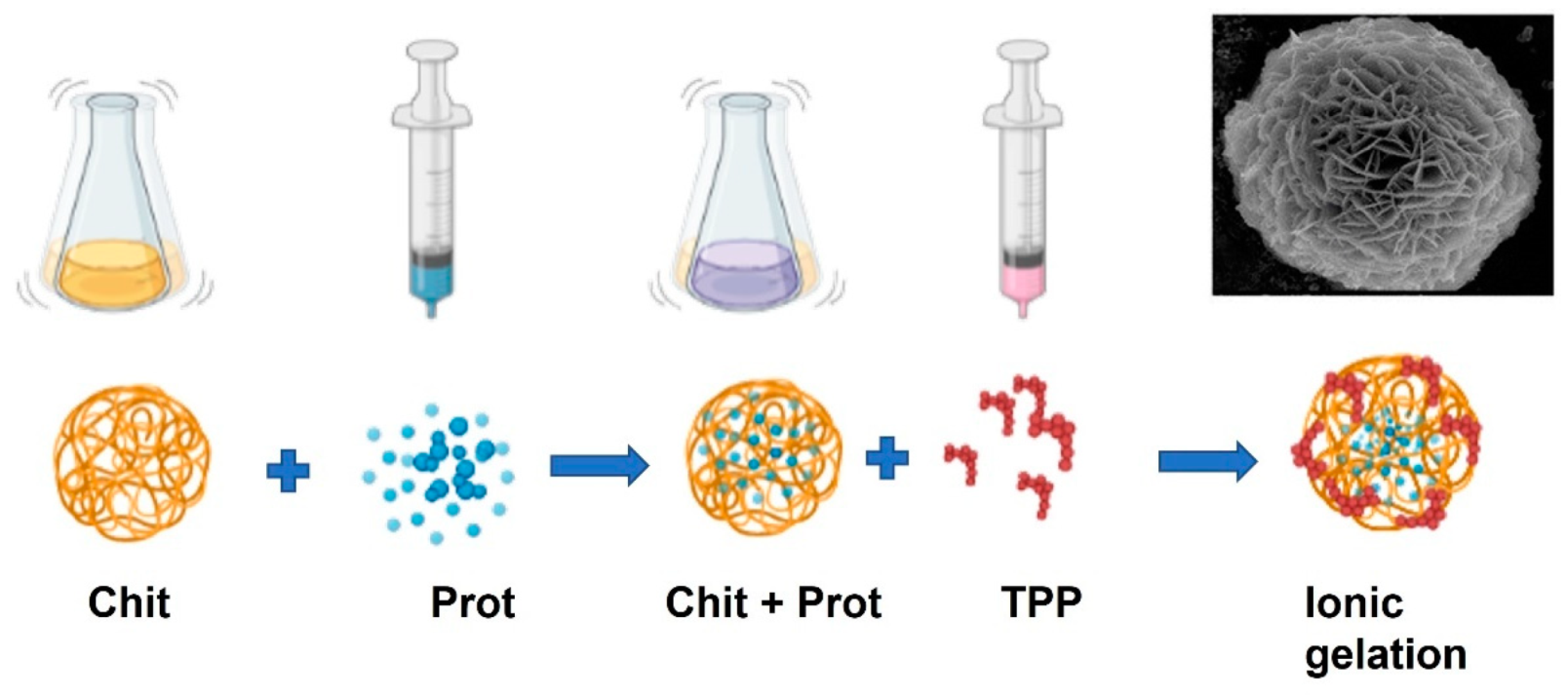 Applsci 11 11427 g002