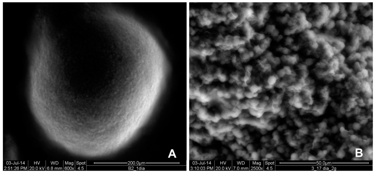 Applsci 11 11427 g003