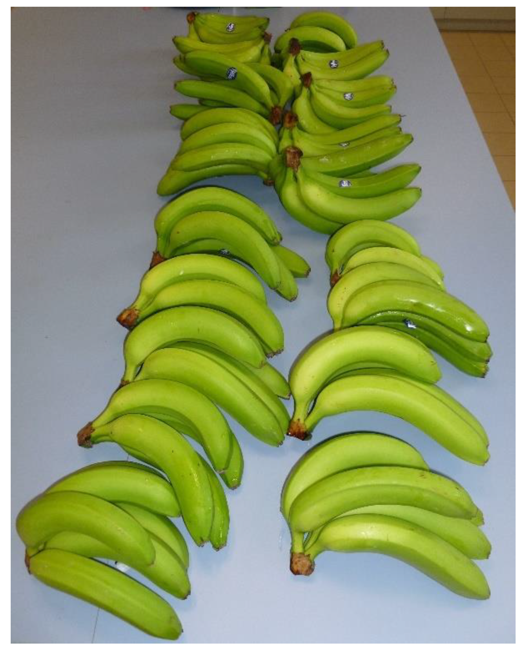 Applsci 11 11433 g001